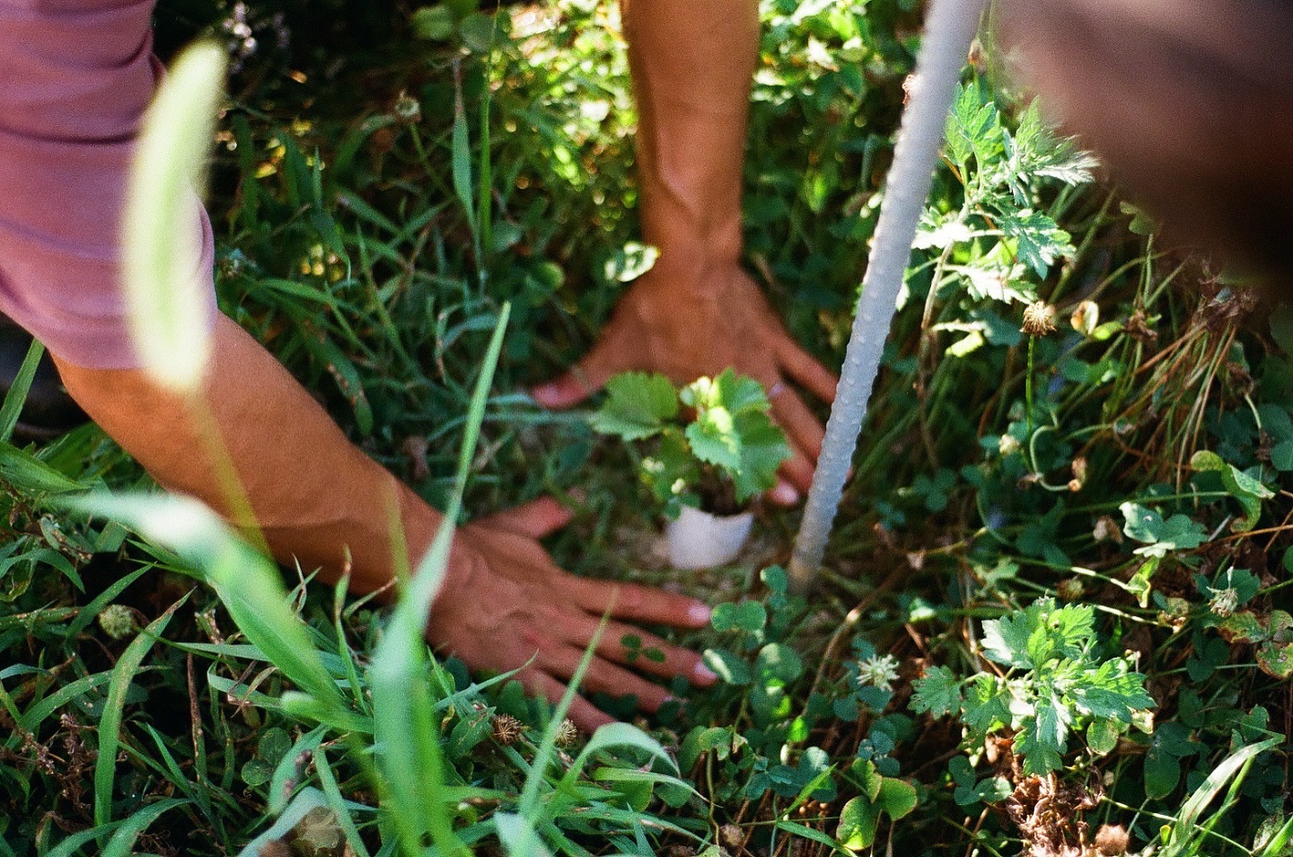 死んでも生きていても、生きることは遥かに愛おしい。
Whether in death or in life,
to live—ah, to live—
is infinitely more beloved.
【莉蕾|ReLive vine】
岡山県高梁市でぶどう農家をしている @itsuki_ll が、ワインの風景を歩んでいく日々を記録。現在樹齢と研修二年目。蕾から美しい花実が生まれるように、いつの日か、この日々が、ワインやその先の風景に繋がっていくようにという祈りを込めて「莉蕾(りらい)」と名付けた。
ReLive vine with @itsuki_ll documents the daily life of a grape farmer in Takahashi City, Okayama, Japan, as they walk alongside wine. Currently in the 2nd year of both vine age and training, the hope is to one day create grapes and wines that evoke the memory of the landscape. With a prayer that this will eventually lead to an unrecognizable landscape, the endeavor was named "ReLive vine".
#ワイン #農家 #醸造 #ぶどう #農業 #自然 #秋田犬 #甲斐犬 #岡山 #日本の風景 #Wine #Winemaking #Grapes #Farming #Nature #Akita #KaiKen #JapaneseLandscape #Vin #Vinification #Raisin #Agriculture #ChienAkita #ChienKai