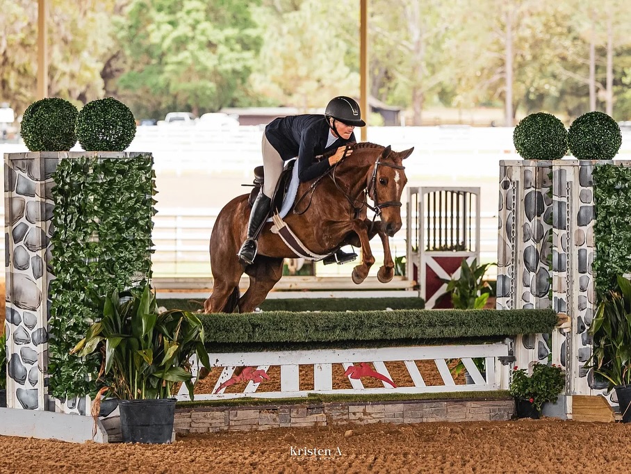 PONIES AVAILABLE TO TRY AT:
Kentucky Summer Classic & Pony Finals Week
Mediums
1. Eligible Green - 8y/o 13.1 7/8 hh Mare
Local miles & 1 rated show at WEC. Good mover, easy changes, still green & forward thinking.
Mid 5s to buy, Low 5 lease to an approved show program
2. Medium Division Pony- 12 y/o 13.1hh Gelding
Long winning record, hack winner. Can do the walk/trot - division. Has ahown all over. A pony you want in your barn.
Mid 5 to lease, Low 6 to buy (only to the perfect home)
* available following pony finals
Larges
1. SS - Children’s Pony - 15y/o 14.2hh Gelding
This pony thrives in thr 2’ - 2’6 ring. Hack winner & easy changes.
Mid 5s to buy, Low 5 to lease
2. SS - Division Pony -12y/o 14.1 7/8 Gelding
Super safe & reliable, easy changes.
Mid 5 purchase, Low 5 lease
*available following pony finals
Serious inquires only!
Olivia Fiscus 281-606-9637
Over Fences Marketing