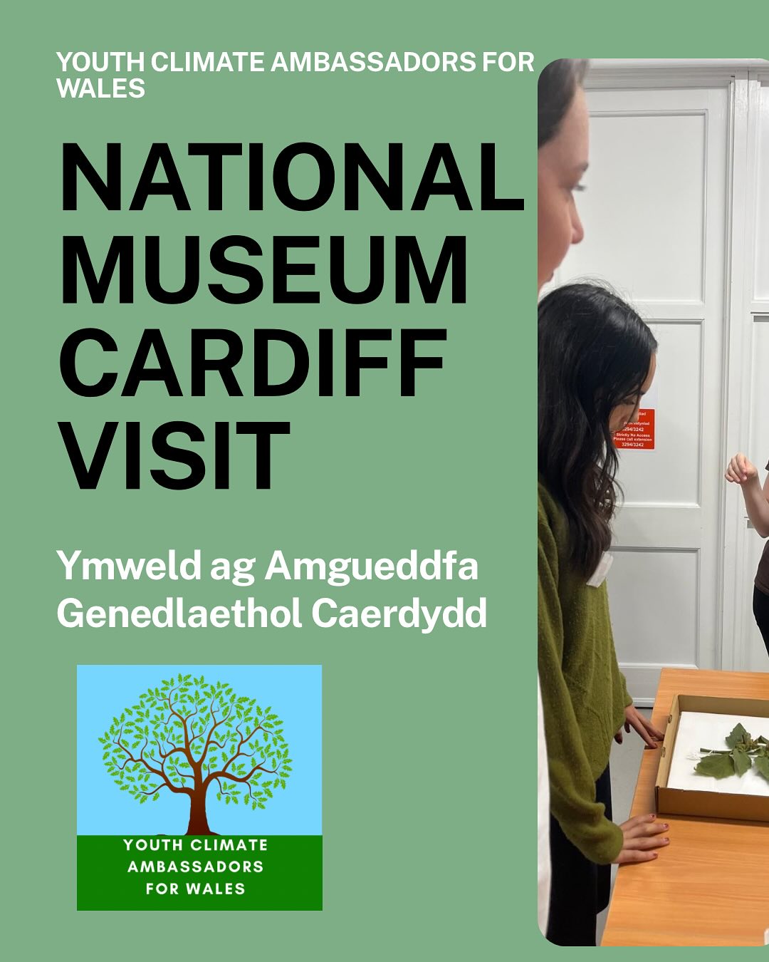 We explored @museumwales ‘s collections today for our new project on nature based flood defences 🌿💧 It was so interesting to see all the specimens, they had so much to tell both of us and we had a great time collaborating in order to create an exhibition which will highlight the importance of our nature!
Fe wnaethon ni archwilio casgliadau @amgueddfacymru heddiw ar gyfer ein prosiect newydd ar amddiffynfeydd llifogydd naturiol 🌿💧 Roedd hi’n hynod ddiddorol gweld yr holl sbesimenau, roedd ganddyn nhw gymaint i’w ddweud wrth y ddau ohonon ni, ac fe wnaethon ni fwynhau cydweithio i greu arddangosfa fydd yn tynnu sylw at bwysigrwydd ein natur!
#nature #museum #youthclimateaction #climatecrisis #climateaction #nature