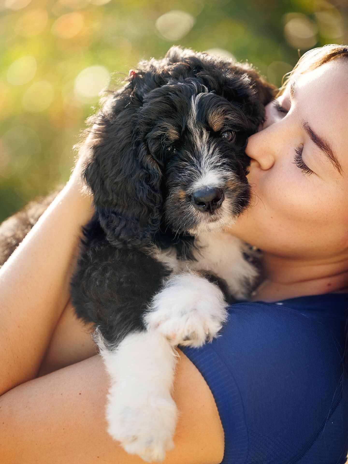 And then there was 1…..Miss Franny! 🐾
Franny is the last little love from Remi’s incredible litter of F1 Standard Bernedoodles and she just might be the gem you didn’t know you were waiting for. 💛
She’s playful, gentle, and full of affection. Franny doesn’t demand much… just a little time by your side and a cozy spot at your feet. Sometimes, the very best are saved for last. ✨
She’s ready to go home this weekend! If you’d like more information about sweet Franny, head to our website and reach out We’d love to help you bring her home.
🐶 www.texashowdydoodles.com