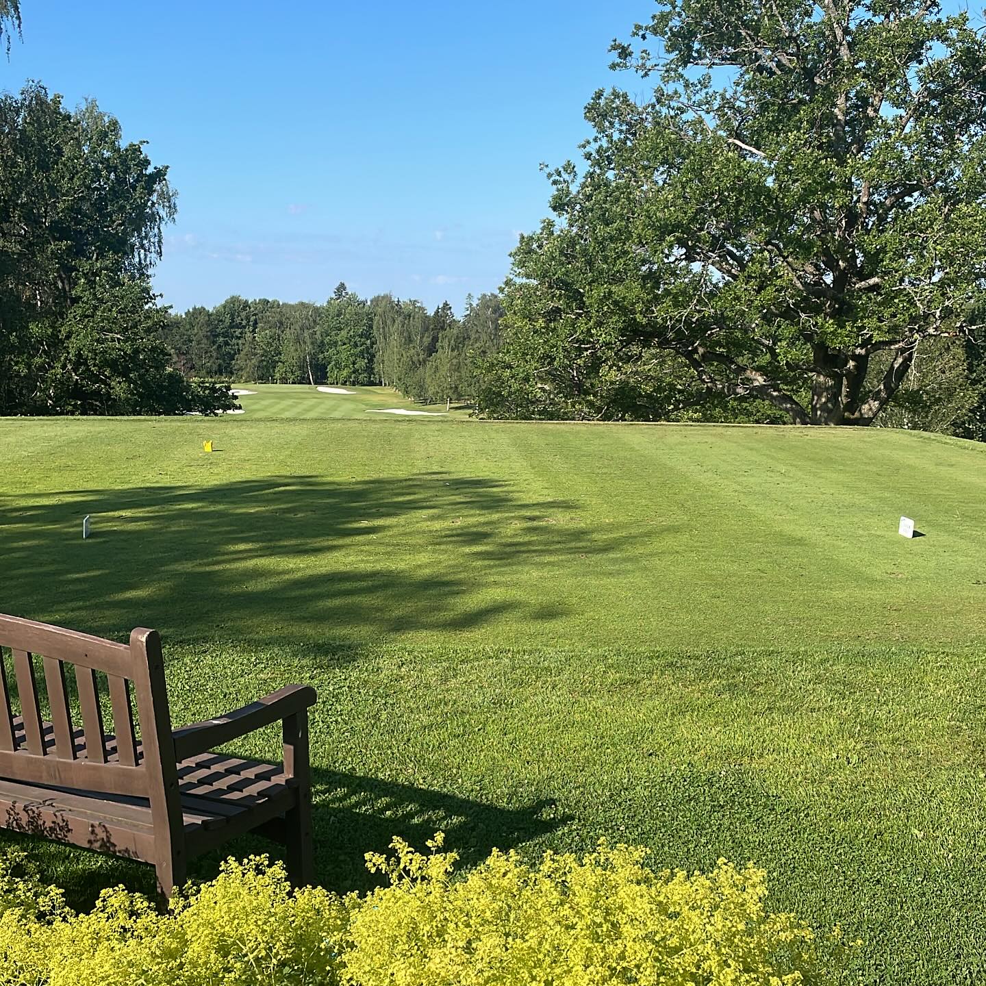 Aamun tilanne. +20 C