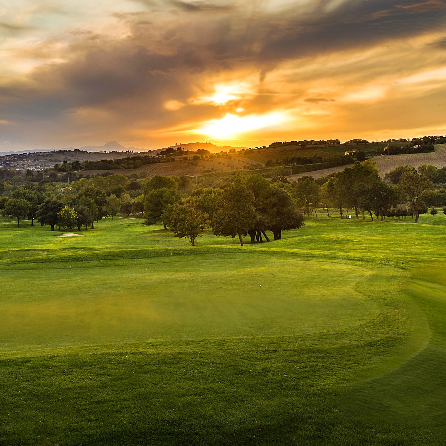 Golf Club Sirolo: il Conero da un’altra prospettiva
Tra le dolci colline del Conero, immerso in una natura che sa di Mediterraneo autentico, il Golf Club Sirolo è più di un campo da golf: è un’esperienza. Qui il profumo del mare si fonde con quello della macchia, regalando ai giocatori un percorso tecnico e scenografico, affacciato sulle meraviglie della Riviera...
E voi? Cosa aspettate a venire a Sirolo??? 😍 https://www.lorizzontesirolo.it/post/golf-club-sirolo-il-conero-da-un-altra-prospettiva