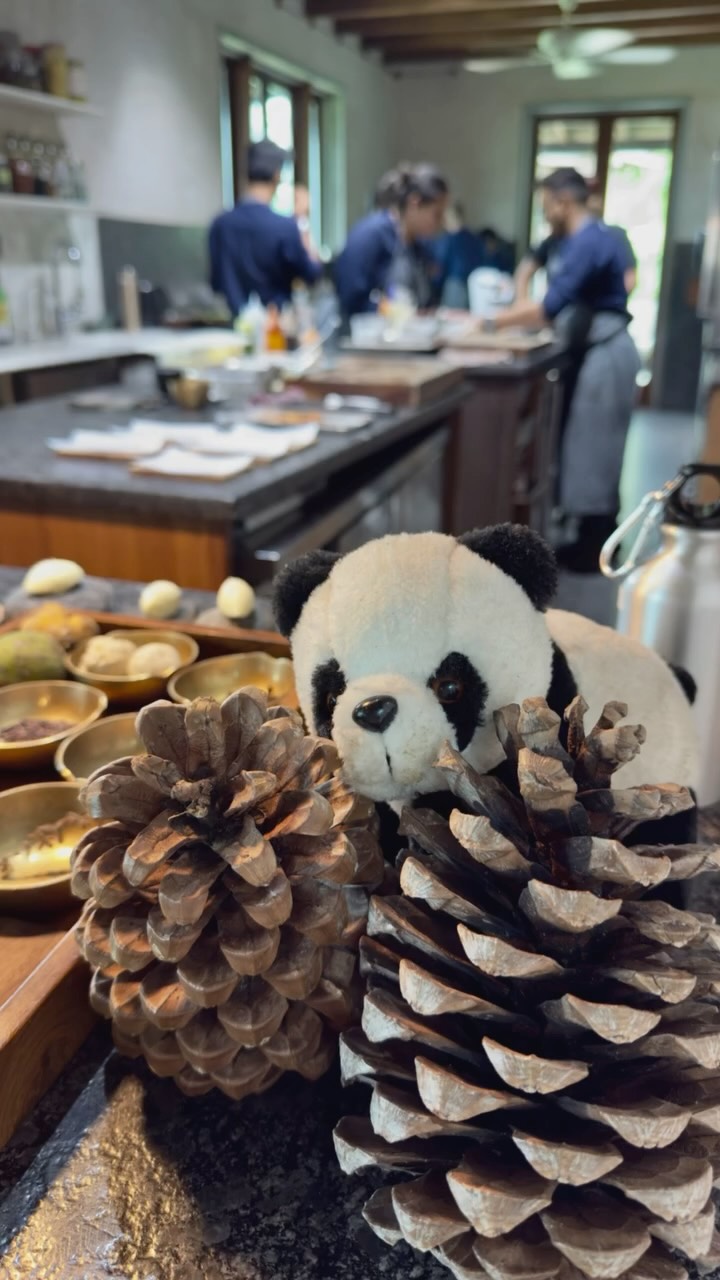 NAAR
#Naar #Mumbai #MumbaiFood #MumbaiFoodLovers #Kasauli