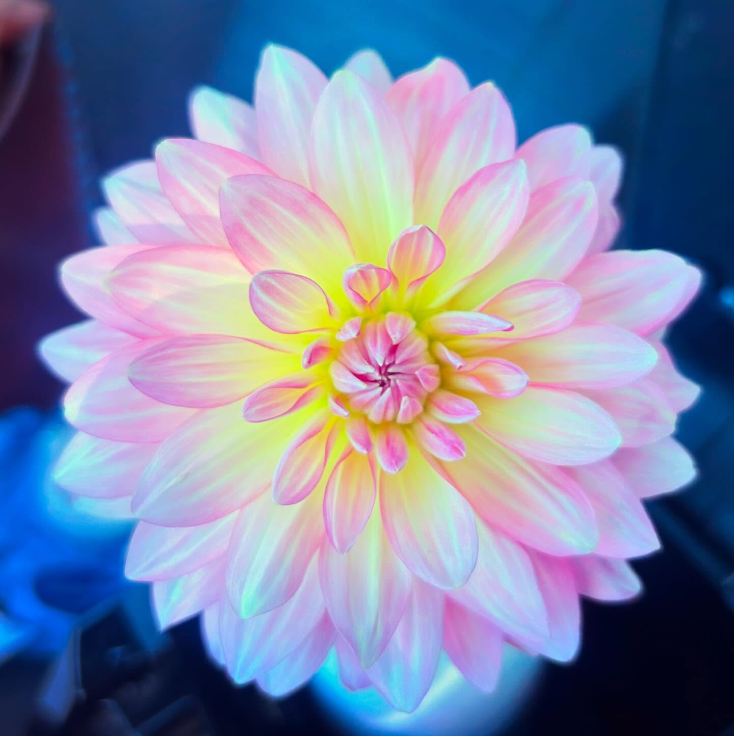 This sums up my day.