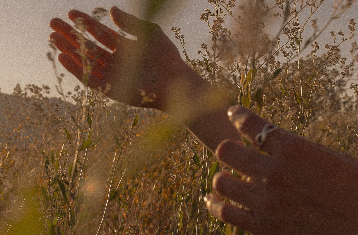 the chance to love everything