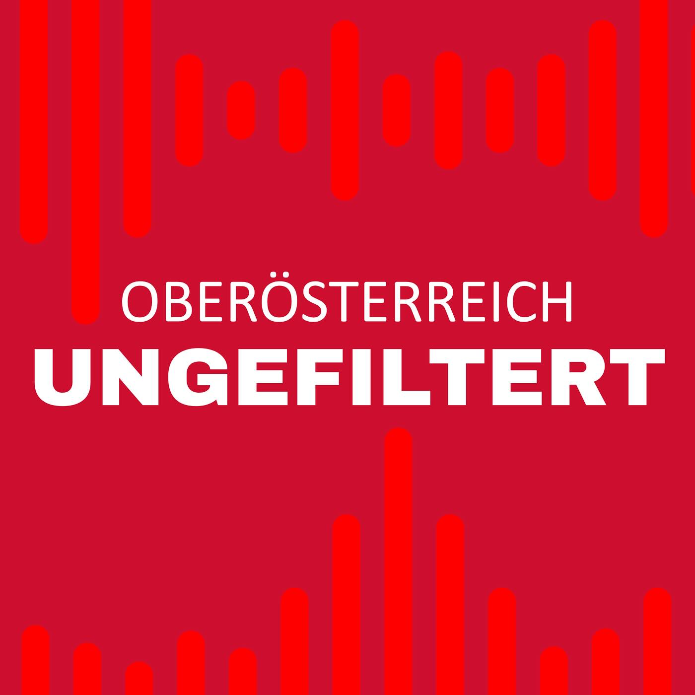 🎙️ Zu Gast bei „OÖ Ungefiltert“ – dem bekannten Podcast der VGN Medien Holding —> trend, News, Woman, Autorevue
In dieser Folge spreche ich über meinen Weg zum Bucketlist Schmied – über das Aufbrechen, Loslassen, Ausprobieren und über die Kraft von echten Erlebnissen.
Es geht um:
🔨 Warum ich ausgestiegen und umgestiegen bin
🌍 was mich an sozialen Projekten bewegt
🎲 wie mein Kartenspiel Menschen ins Tun bringt
🌱 und warum Kinder für mich wahre Vorbilder sind
Ich teile Gedanken über Lebensfreude, Natur, Social Media, Weltrekorde, Gemeinschaft – und den Mut, Dinge anders zu machen.
🎧 Hör gerne rein – die Folge ist jetzt online: https://www.bucketlist-schmied.com/einladung-podcast-ooe-ungefiltert
#Podcast #OÖUngefiltert #BucketlistSchmied #PodcastInspiration #Lebensfreude #MutZurVeränderung #VGN #ErlebnisSchmied