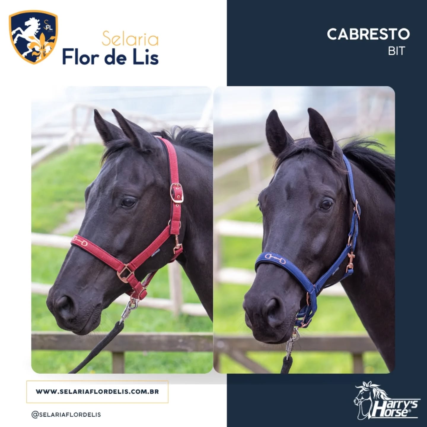 Cabresto Bit
Revestido com discreta estampa de couro de cobra
Metais em rosegold