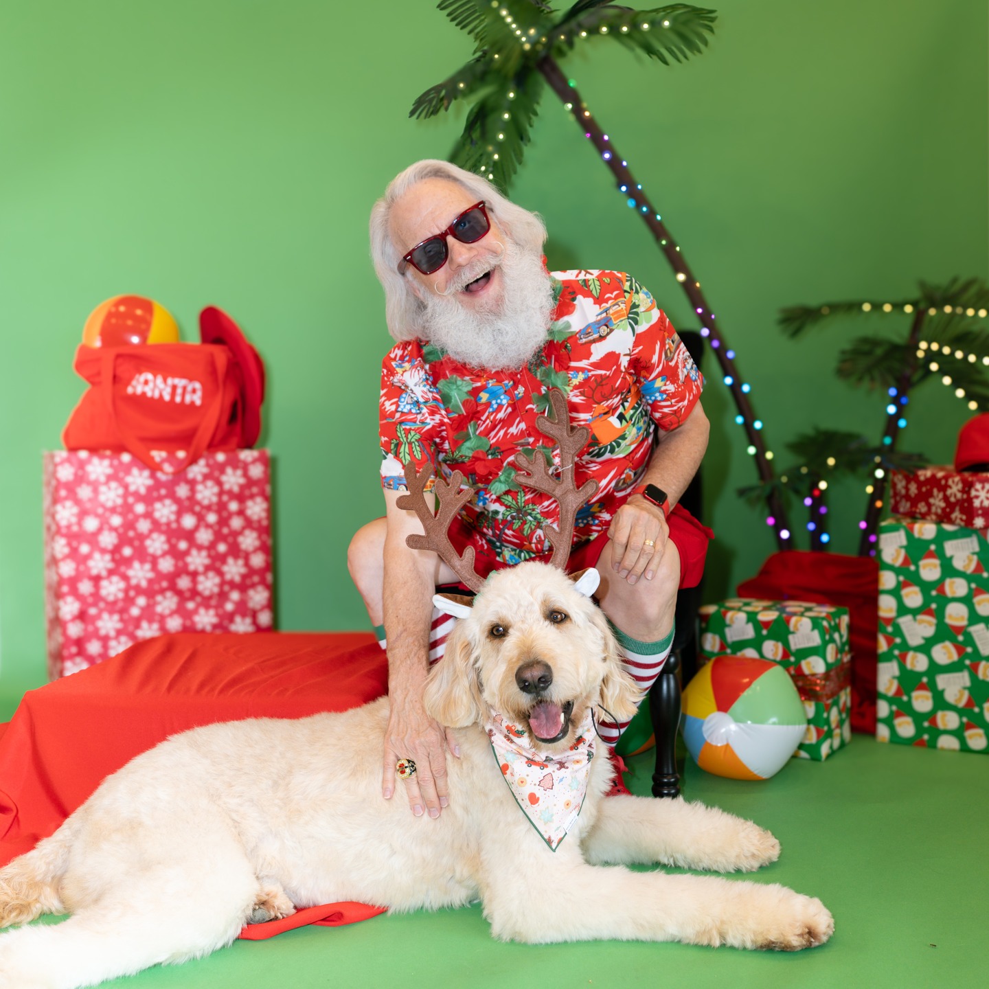 Santa had a great time visiting with some furry friends at @gussieduppetboutique this past weekend. We even had one that wanted to audition to be a reindeer! @pawtraitsbyjim got some great photos! #christmasinjuly🎄 #santa #santaclaus