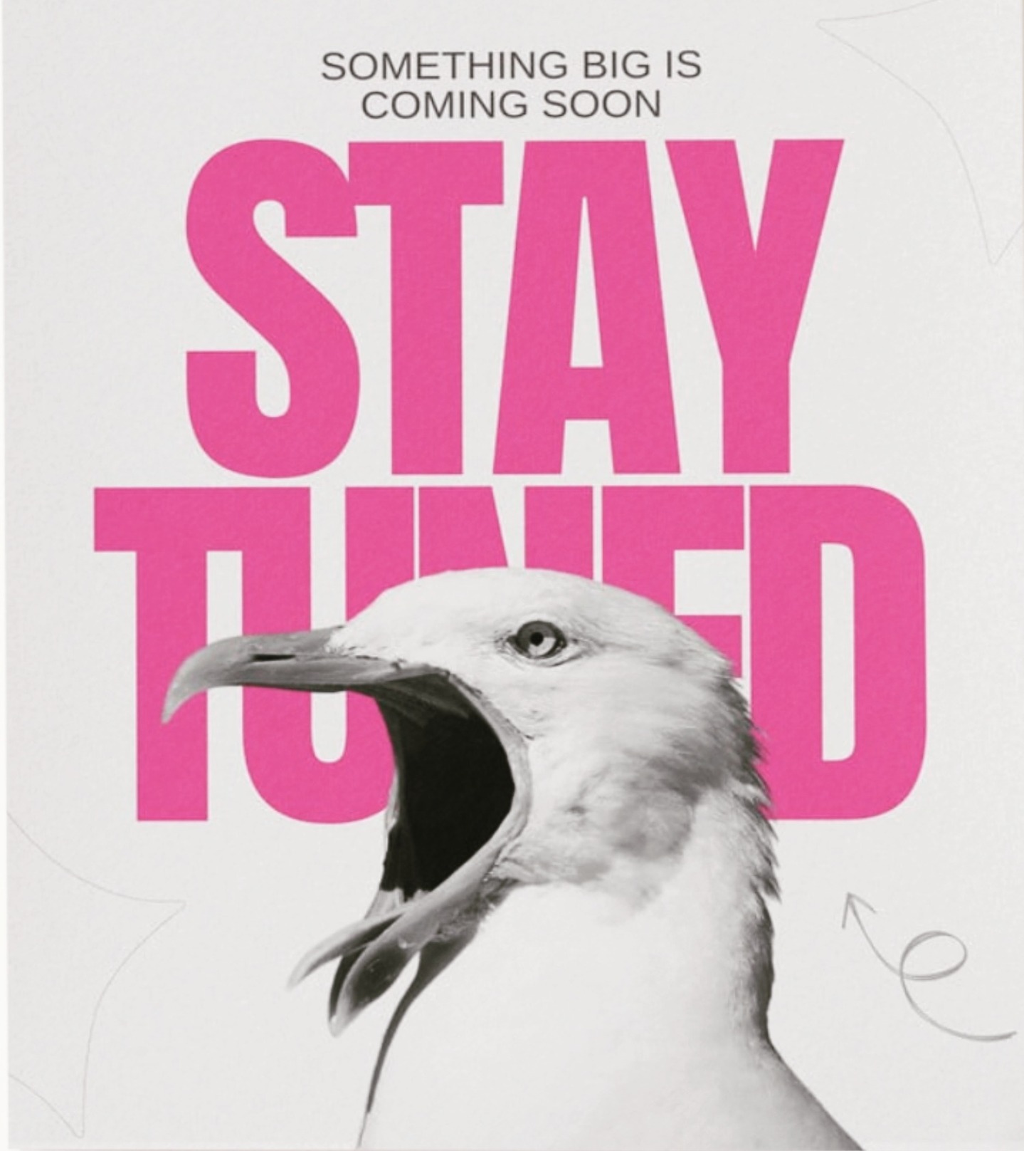 It's all happening...stay tuned for a big announcement from People Leave Cults next Tuesday! Keep an eye out on socials!
⚡️ Unhinged bird poster for attention ⚡️