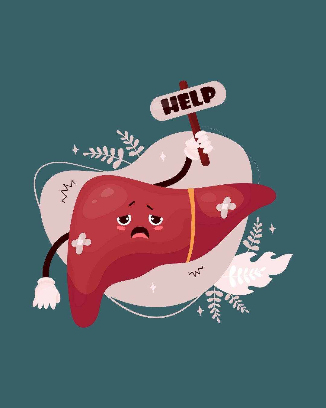 The liver is the organ most impacted by both hypo- and hyperthyroidism. Certain digestive disorders may be linked to autoimmune thyroid conditions, including Hashimoto’s thyroiditis and Grave’s disease. Among these, celiac sprue and primary biliary cirrhosis are the most common, although a definitive common mechanism has yet to be established. While the effects of thyroid hormones on motility have been extensively researched, they remain not entirely understood. Notably, liver function tests show mild disturbances in nearly 50% of patients with hypothyroidism, even when cell and tissue structures appear normal. Using a full body systems approach to thyroid dysreguation is the reason that as a functional nutrition counselor I may recommend giving your liver some extra love and support.