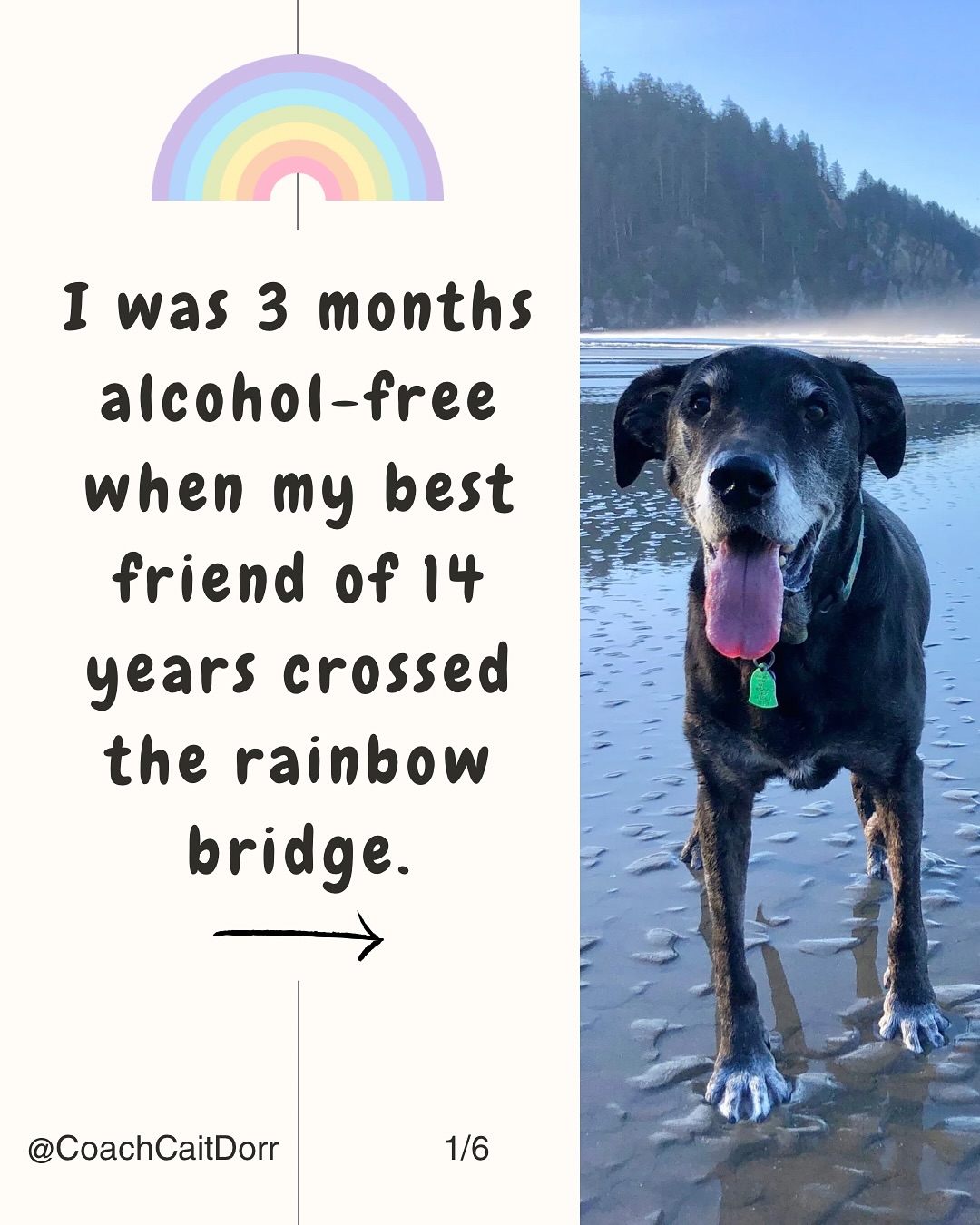 💕 Grateful to have had you by my side for so many years, sweet Mollie girl 💕
.
.
.
.
.
#minsetmatters #minsetshift #alcoholfreeliving #alcoholfreelife #thisnakedmind #hangoverfree #alwaysbelearning #yourbestself #habitchange #starttheconversation #addictivesubstance #limitingbelief #thisnakedmindcoach #afaf #teetotaler #grateful #gratitude