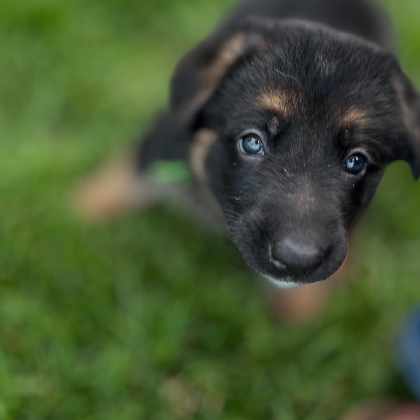 Some of todayās antics :)