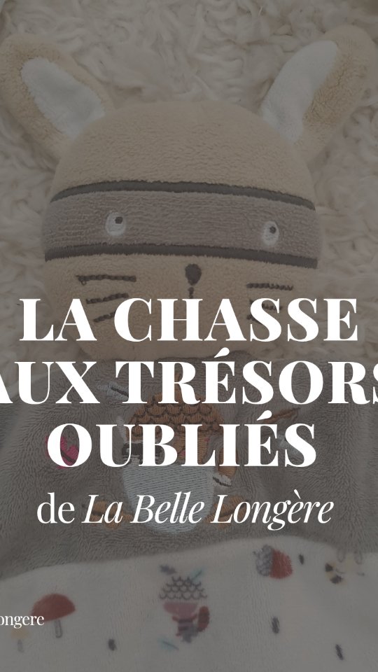 LA CHASSE AUX TRÉSORS OUBLIÉS 🏷
Il est fréquent que nos visiteurs oublient des petites choses derrière eux en repartant de @labellelongere 🌿 Ma routine de préparation du gîte peut donc se transformer parfois en chasse aux trésors...🗝
💫Rassurez-vous, je récolte avec minutie les objets trouvés, et propose systématiquement de les réexpédier à leurs propriétaires (surtout les doudous ! 🧸)
Dans cette vidéo, je vous restitue les cachettes les plus probables pour les affaires délaissées, mais il y a aussi des endroits vraiment insoupçonnés (dont je vous parlerai dans une prochaine publication 😉)
❓️Et vous, que vous est-il déjà arrivé d'oublier en repartant d'un endroit ?
#labellelongere #guesthouse #meubledetourisme #3etoiles #locationsaisonniere #gite3etoiles #gitefrance #gitechampagne #gitedegroupe #gitedecharme #champagnetourisme #tourismeenchampagne #chasseauxtresors #objetstrouvés #coulisses #lescoulissesdelabellelongere