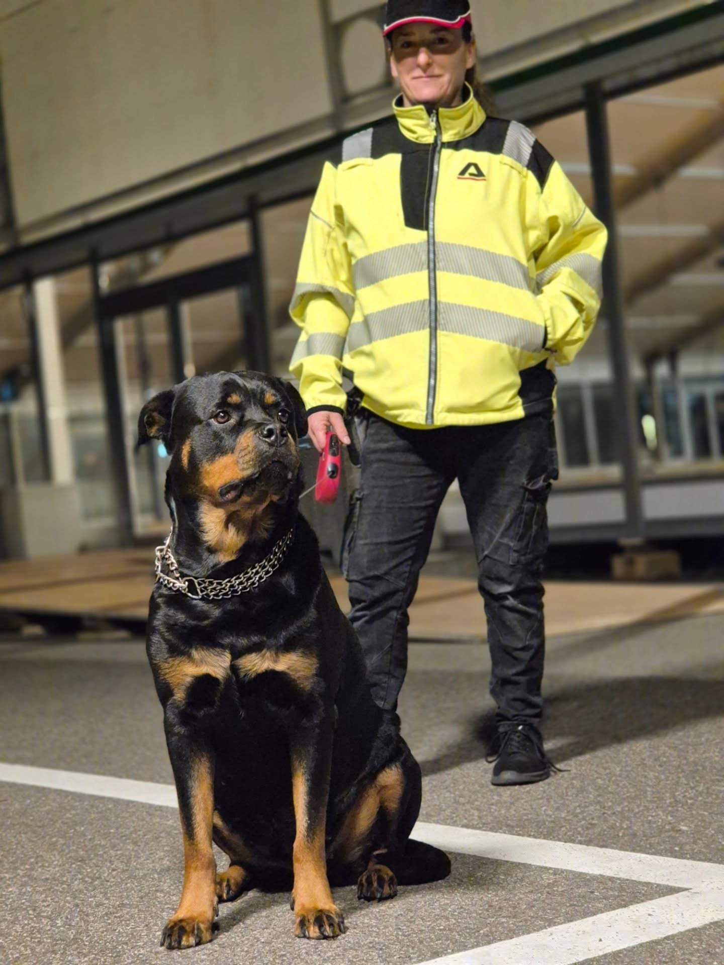 AiOS Ordnungsdienst
🐾 Unser Schutzhund im Einsatz 🐾
Heute steht unser vierbeiniger Profi der AiOS Swiss GmbH im Mittelpunkt.
Mit scharfem Instinkt erkennt er blitzschnell fremde Personen und macht uns sofort aufmerksam. Ein kurzes Knurren, ein kurzes Bellen und schon ist der nötige Sicherheitsabstand geschaffen. 🐕🦺
Im Ernstfall? Da zögert er keine Sekunde, um sein Frauchen zu verteidigen.
Ein treuer Begleiter, der nicht nur abschreckt, sondern auch schützt –> zuverlässig, ruhig und entschlossen.
In einer Zeit, in der echte Sicherheit wieder an Bedeutung gewinnt, wird der ausgebildete Schutzhund zu einem wertvollen Partner.
Sicherheit auf vier Pfoten – nicht einfach ein Tier, sondern ein festes Mitglied unseres Teams.
#aiosswiss #schutzhund #sicherheit #k9 #diensthund #vertrauen #hundeliebe #schutzmitherz #basel #aarau #zürich