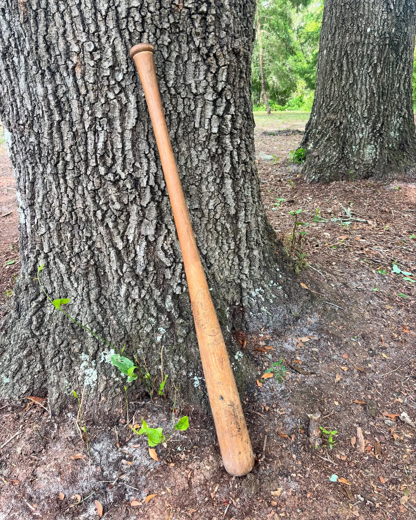 This bat goes along with the antique ball from a previous post. It took me a while and talking to several bat aficionados to get the information on it.
It’s a game used player issued bat to Roy McMillian from 1954. Makes sense that it would go with the ball signed by McMillian and several other Reds players that my dad got for his birthday in 1954. Very cool that this part of baseball survived so long in my dad’s collection of things(hoarding). I think I’m going to find a nice frame to have them both together.
Thanks to Zane Bats for helping me with the information on this Slugger.
#baseball #luisvilleslugger #redsbaseball #redshalloffame #redsoxnation