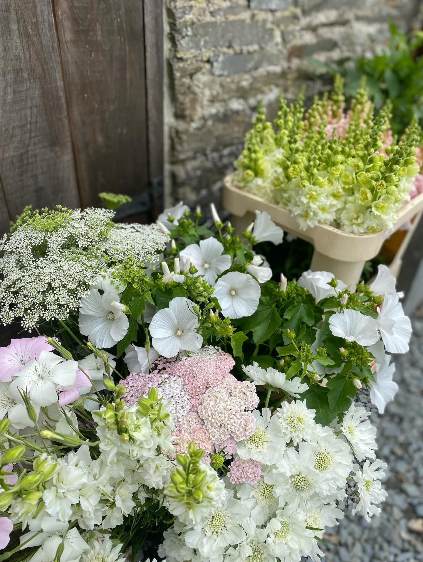 July’s pale shades 🤍💚🩵