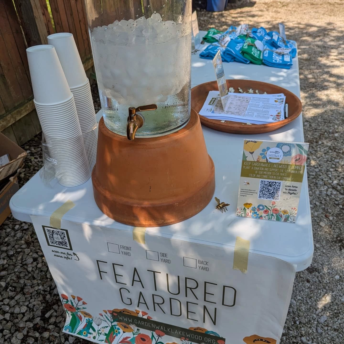 Come on out for the plant sale & GardenWalk today!
1438 Newman Ave - LAKEWOOD
Pawpaw trees sold out but many native plants still available!
#druidgreenhouse
#gardenersofcleveland #lakewoodohio