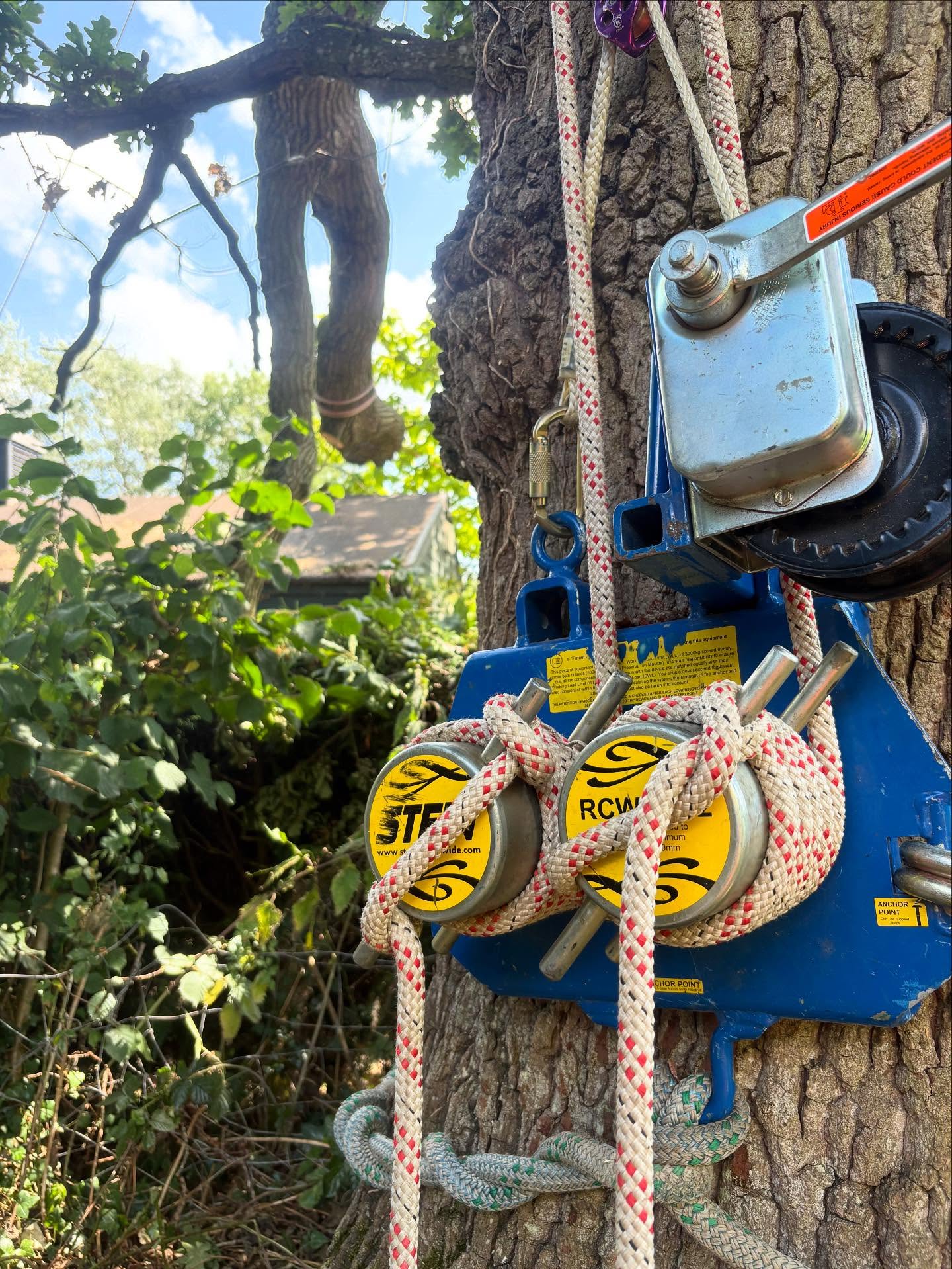 With great planning, careful execution and precise technical rigging we were able to safely lift, move and lower this large snapped out Oak limb off the roof of a clients property.
The limb had failed at a weak union point after a long period of little rainfall and dehydration of the timber fibres.
Utilising years of experience and specialist rigging equipment we were able to carefully support and suspend the limb above the roof once the weight had been removed. Then utilising an additional pull from our additional Capstan Winch we were able to move the limb away from the property, allowing the limb to then be safely lowered to the ground.
There was no additional damage from the work we carried out and our client was very pleased with the end result. A great job completed and great work from all the team @davej_88 @j1tiime
#emergencycallout #treesurgery #treerigging #arborist #treeservices #gloucestershire #herefordshire