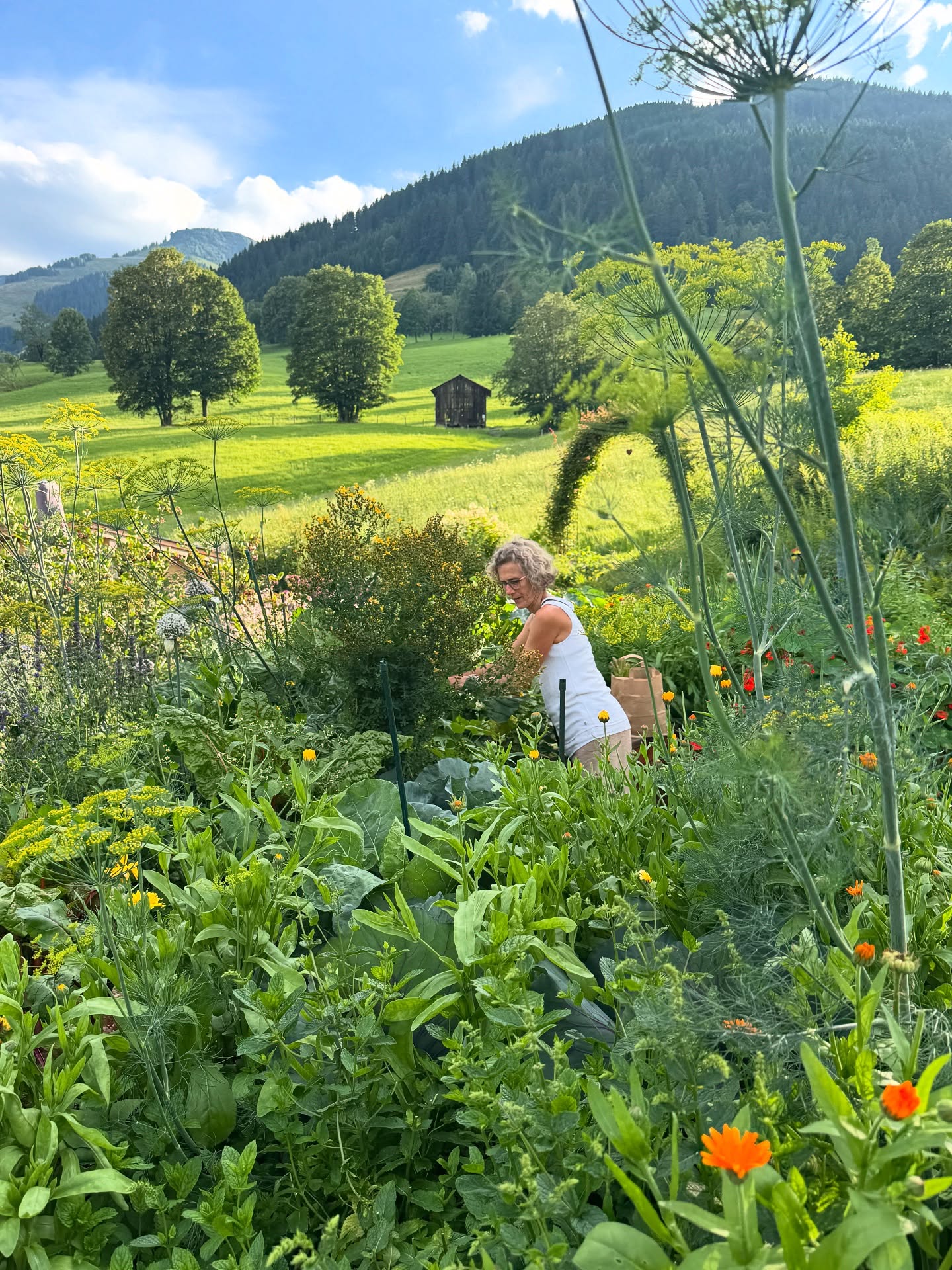Abendstimmung am Obersteghof 🌱🌿🌅
#obersteghof #garten #hochkönig