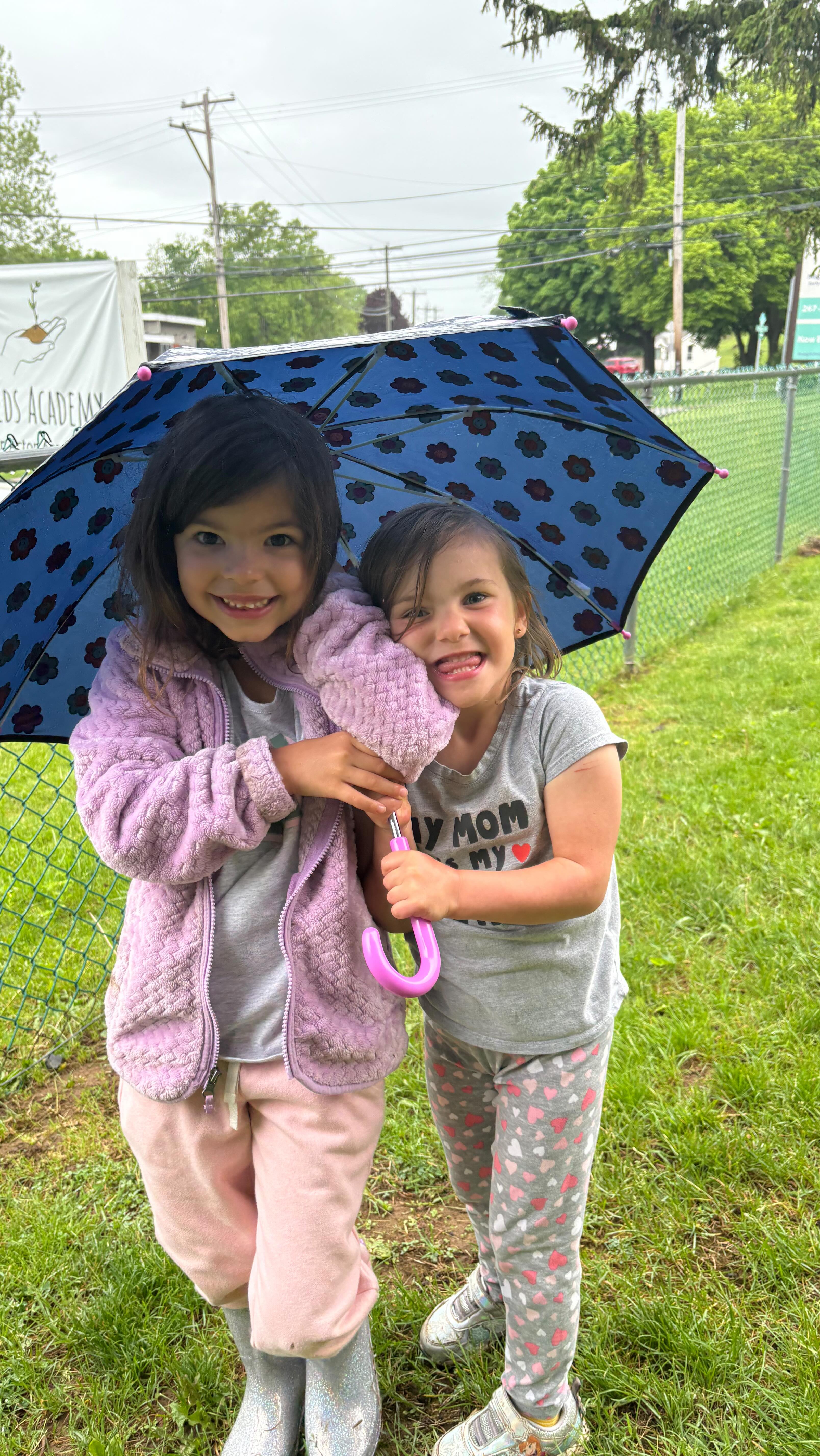 Looking for a different kind of education?
At Seeds, childhood is honored, learning is joyful, and every day is an adventure. We still have a few spots left for Fall 2025—come see what makes our learner-driven approach so powerful.
🌿 Tour or ask questions!
📍 Green Lane, PA
#ActonAcademy #SeedsAcademy #LearnerDriven #MontgomeryCountyPA #MicroSchool #AlternativeEducation #FallEnrollment #ChildLedLearning