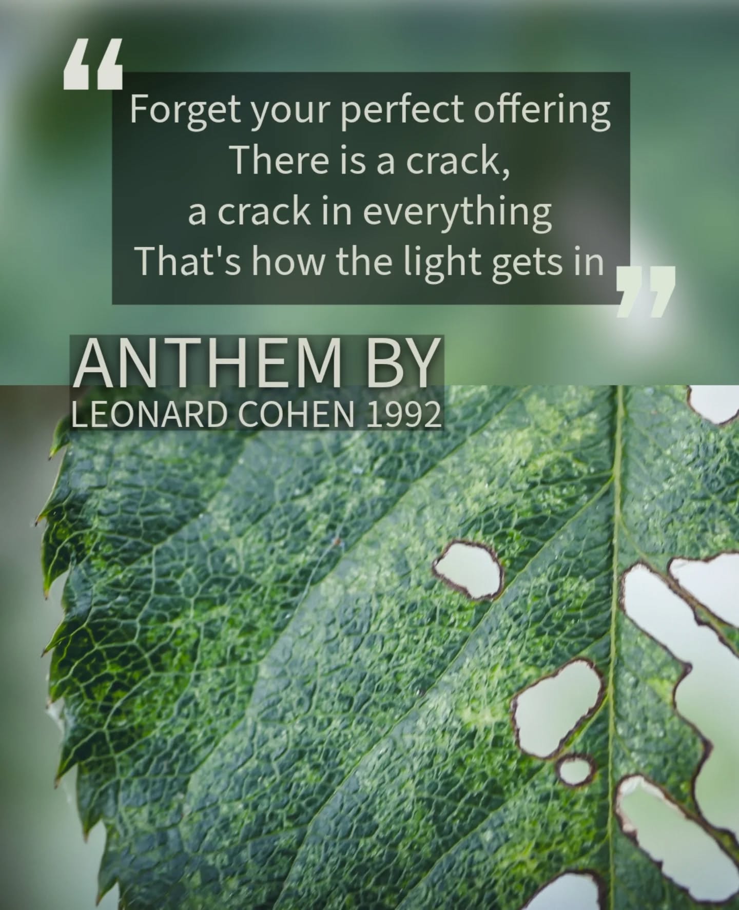 #wabisabi #wabisabimaker #lettherebedelight