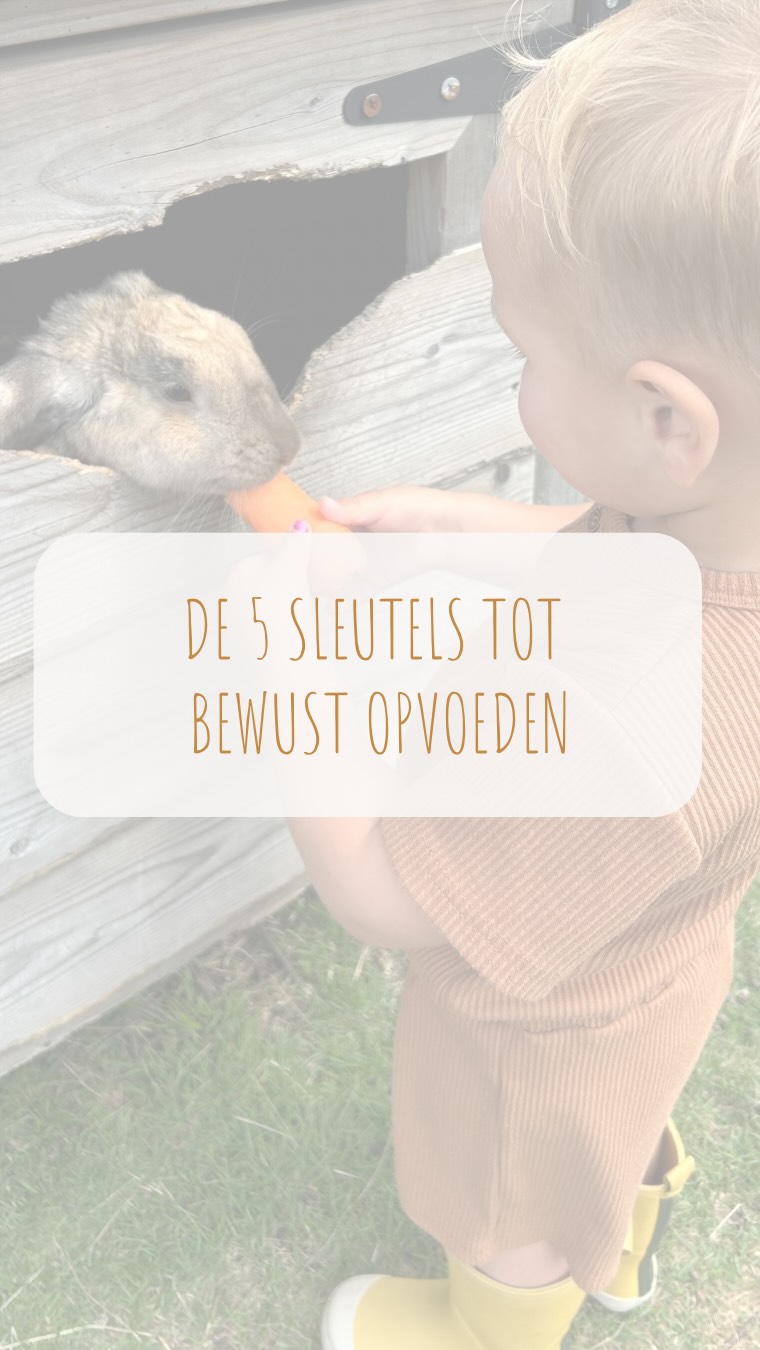 ✨ De 5 sleutels tot bewust opvoeden ✨
Het begint bij jou. ❤️ Jouw kind (& ook jouw innerlijk kind) straalt en bloeit in echte verbinding.
Kies voor groei, echtheid en puur contact met je kind.
En maak het contact met de natuur hier deel van! 🌱💛
#bewustouderschap #verbinding #innerlijkwerk #ouderkindcoach