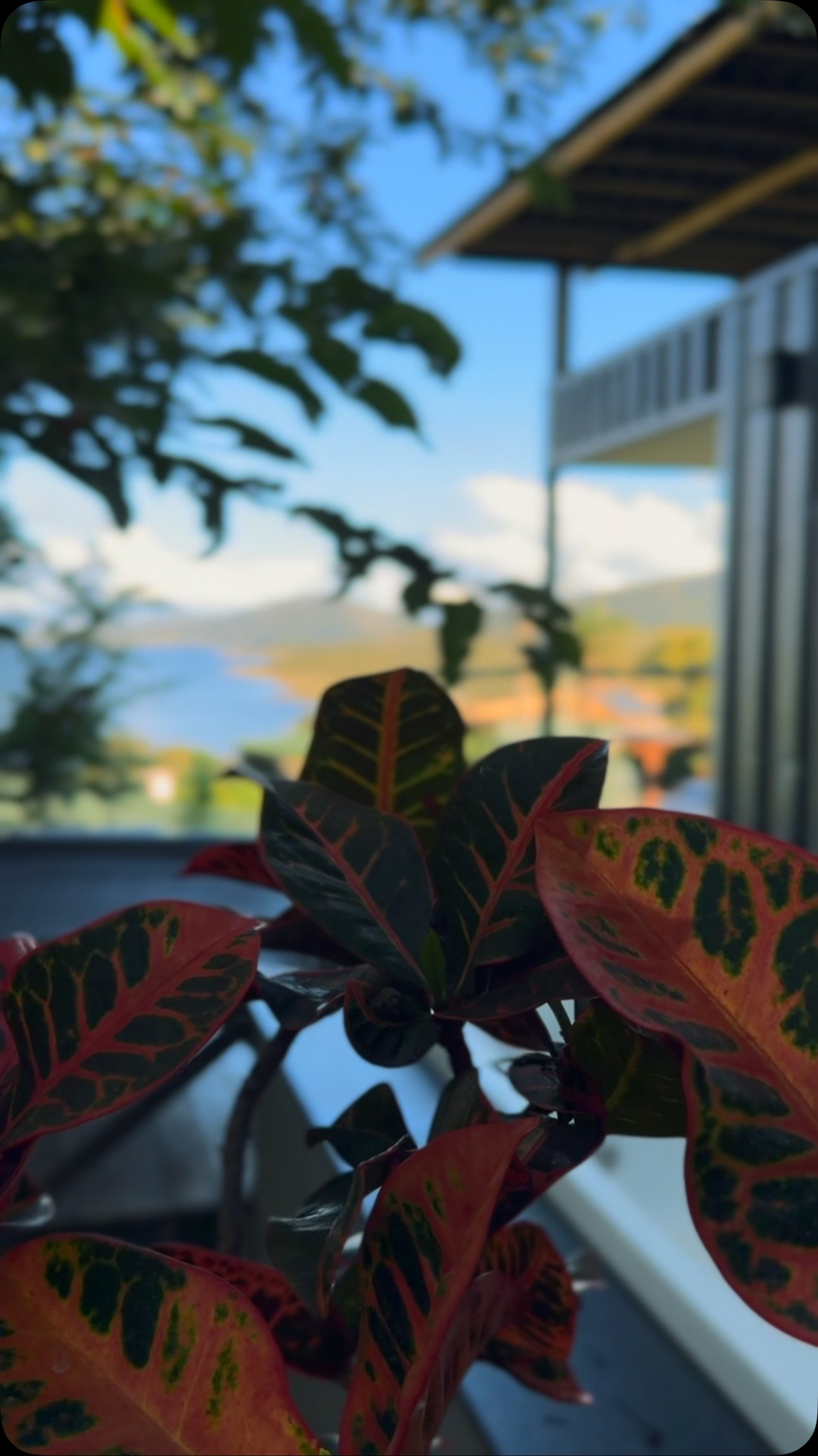 Você merece tirar uns dias para recarregar suas energias!
🔗 clique no link da bio e faça sua reserva.
#DocasDaLapa #ecohospedagem #nature #explore #mg #lapinhadaserra #travel #mg