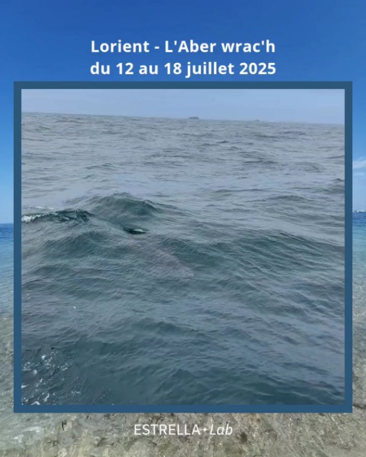 Du sud au nord de la Bretagne, cap sur l’horizon 💙
Du 12 au 18 juillet, nous avons sillonné les eaux bretonnes de Lorient à l’Aber Wrac’h en passant par les Glénan, Camaret, les îles Molène… Au cœur du fjord breton, entre houle douce et caps battus par les vents, une semaine de navigation, de partages et de rires à bord d’Estrella, voilier pas comme les autres.
Demain, on hisse à nouveau les voiles pour une nouvelle semaine d’aventure : cap vers l’Irlande ! 🇮🇪
Navigation hauturière entre Aber Wrac’h – Îles Scilly – Kinsale, entre dauphins, nuits en mer et grandes traversées.
Avec nous à bord : Olivia Wattinne, “l’armatrice à roulettes” 🧡🥹
Celle qui a créé Estrella comme une évidence.
Un voilier de 60 pieds pour porter haut, fort et loin les couleurs de l’inclusion, de la solidarité, de la découverte et du dépassement de soi.
Un immense merci aux partenaires qui rendent cette aventure possible. 🫶🏼
À suivre en stories pour vivre cette traversée avec nous ! ⛵✨