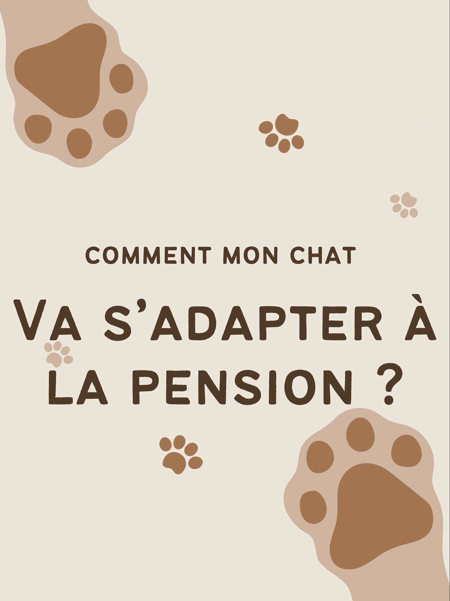 Et oui, comment va se passer le séjour de Minet à la pension ? 🐱
Ce n’est jamais facile, surtout quand c’est le premier séjour. On se pose mille questions : Est-ce qu’il va bien s’adapter ? Va-t-il manger ? Dormir ? Supporter la présence d’autres chats ?
Et pire …. s’il se sentait abandonné ?🫠
Bien préparé, le séjour en pension peut très bien se passer et même être une expérience positive pour ton chat.
Aujourd’hui, on t’explique tout pour que ce moment se passe dans les meilleures conditions, pour lui comme pour toi. 👇
#larecreduchat #pensionpourchats #hotelpourchat #cat #cats_of_instagram #catlover #chatterie #chat #juillet #aixmaville #aixenprovence