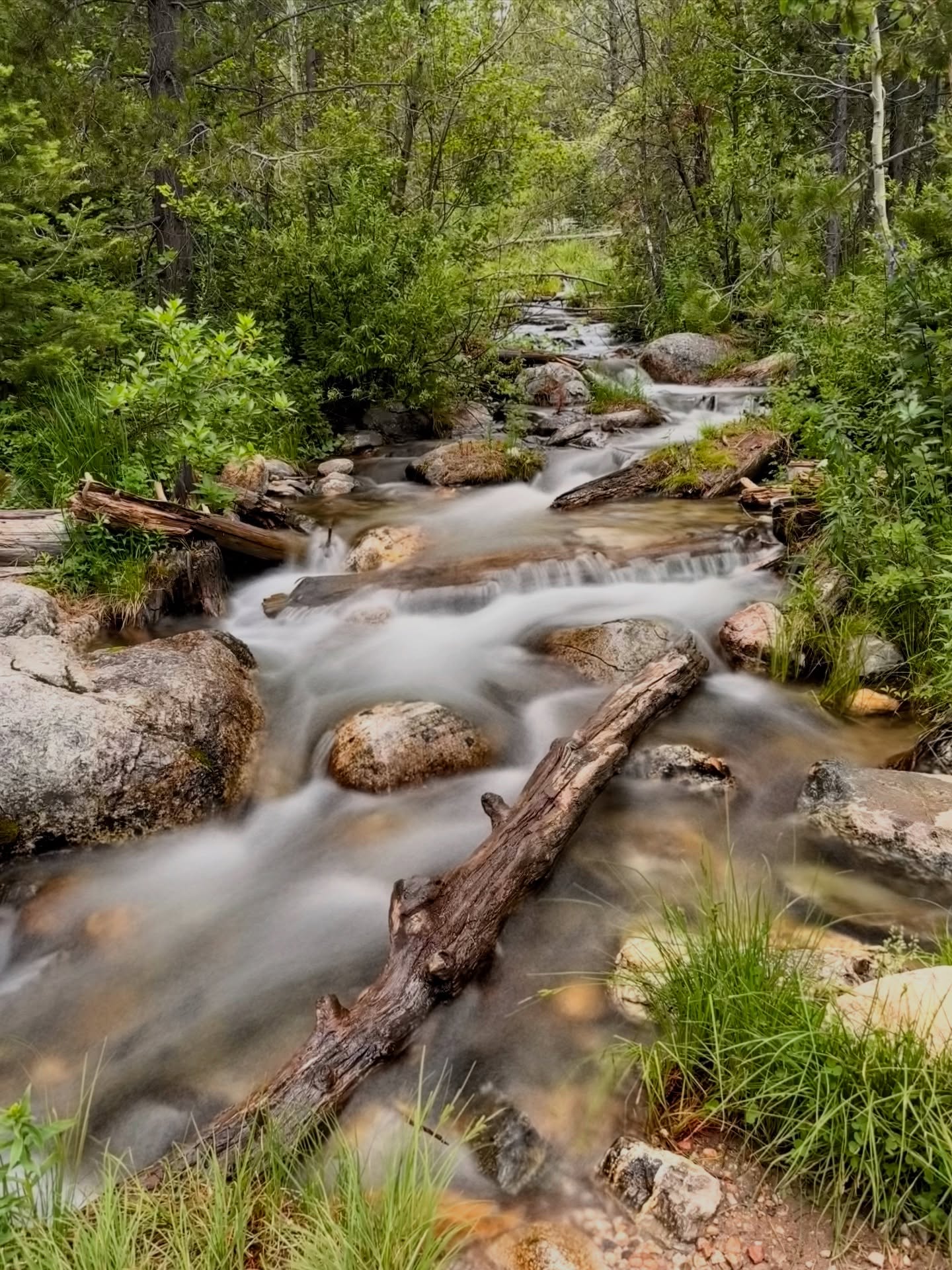 Hiked to Taggart Lake with Aria for a peaceful girls’ day in Grand Teton National Park—just the two of us. The trail is an easy 3-mile round trip, winding through meadows and aspen groves before opening up to those iconic Teton views. 🏞️
We started the day wandering around Jackson—coffee, a little window shopping, and bagel sandwiches to-go. Then we headed into the park, set up our hammocks in a shady nook by the lake, and spent the afternoon reading, chatting, and just being still in a pretty incredible spot. 📚🥯🌲
Meanwhile, the boys were off rock climbing—everyone getting their own version of adventure.
One thing we’ve learned in our travels: carving out 1:1 time with each kid can be such a gift. It shifts the energy, deepens the connection, and makes for moments we’ll both remember.
#taggartlake #grandtetonnationalpark #motherdaughterday #jacksonhole #hikingwithkids #familytravel #travelwithteens #familyadventure #tetons #girlstrip #travelwithkids #familytraveltips @grandtetonnps
