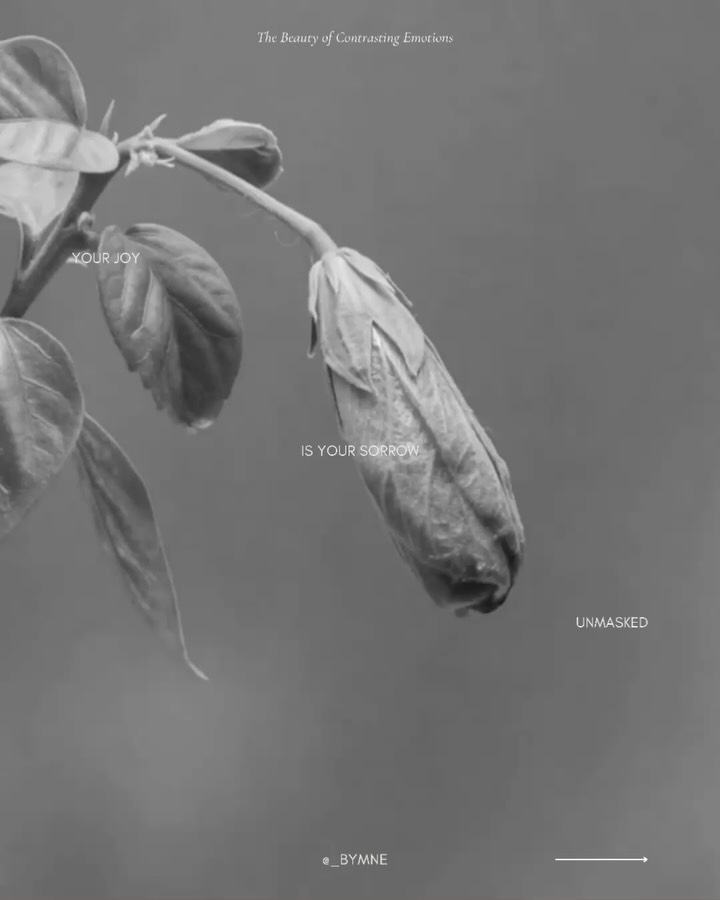 Embracing the beauty of contrasting emotions can lead to greater self-awareness, creativity, and fulfillment.
Beyond the veil of duality. Discover the sacred balance of opposing emotions and awaken to a deeper understanding of yourself and the universe. Link in bio.
#EmotionalIntelligence #MentalHealthMatters #SelfAwareness #Mindfulness #PersonalGrowth #InnerPeace #KahlilGibran #EmotionalWellness #SelfDiscovery #BalanceInLife