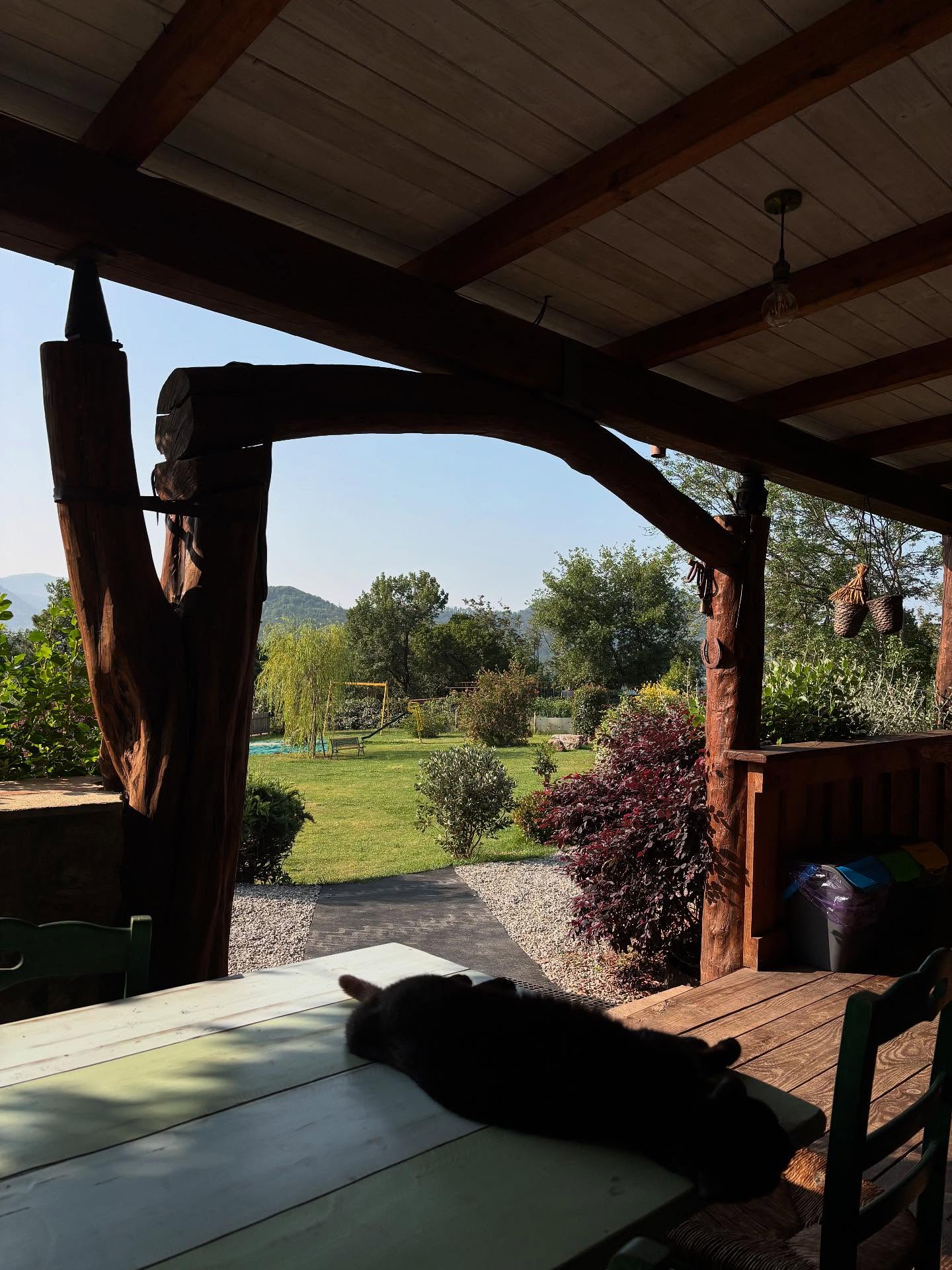 Ecco un breve recap di queste settimane al Bardotto! 🫏🐝🌺🏊♂️Tra lezioni di apicoltura, English lab, coccole agli animali, cibo a volontà e molto altro … ce la spassiamo a più non posso combattendo questo caldo infernale🔥Adesso ci godiamo il weekend e poi ripartiamo più carichi che mai per una nuova settimana!🐛🦋🐞🐴