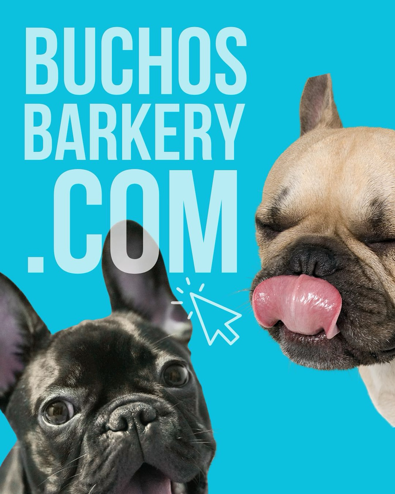 Let’s Get Baked…the Bucho’s Barkery way🐾🍪 🤭
Follow us to stay tuned for vendor events, products drops, discount codes, and announcements. 🎉
#buchosbarkery #dogtreats #natural #handcrafted #dogsofinstagram #orderonline #foryourpet #frenchiesinstagram