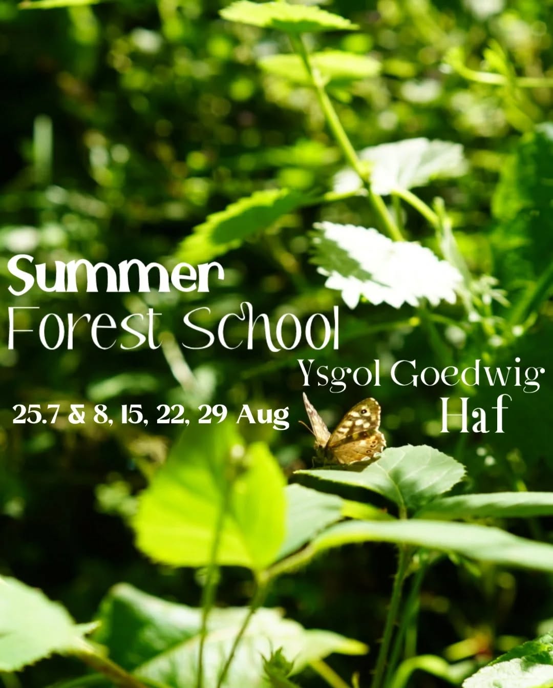 Summer Holiday Forest School Sessions!
Fridays 10am-12🌱
There will be a range of different themed activities on offer during different sessions but each session will include some:
Nature crafting, den building, group games, whittling, fire lighting, story creating, free play and nature exploring.
There will be Tea and coffee available for adults, juice or water for children.
The Forest School sessions will be run by Rhiannon Williams - a Freelance Level 3 Forest School practitioner who has been running her own Forest School sessions within the North East communities for 8 years alongside her gardening business and her own parental journey!
The sessions are suitable for all ages, although ideally 4yrs-13yrs, however other ages can be facilitated for if requested - please be in touch.
£10 per parent and child (preferably 1 parent to attend not both), £3 for any extra sibling (any sibling Babes in arms free of charge).
Bookings made through our website! Please get in touch if cost is a barrier to you🌻
...
Sesiynnau Ysgol Goedwig Gwyliau'r Haf!
Bydd amrywiaeth o weithgareddau gwahanol dros y gwahanol sesiynnau ond bydd pob sesiwn yn cynnwys:
Crefftau natur, adeiladu den, gemau grŵp, naddu, cynnau tân, creu straeon a chwarae yn natur.
Bydd te a choffi ar gael i oedolion, sudd neu ddŵr i blant.
Bydd sesiynau'r Ysgol Goedwig yn cael eu cynnal gan Rhiannon Williams - ymarferydd Ysgol Goedwig Lefel 3 sydd wedi bod yn cynnal sesiynnau Ysgol Goedwig ei hun o fewn cymunedau'r Gogledd Ddwyrain ers 8 mlynedd ochr yn ochr â'i busnes garddio a'i thaith rhianta ei hun!
Mae'r sesiynnau'n addas ar gyfer pob oedran, er yn ddelfrydol 4-13 oed, fodd bynnag gellir hwyluso oedrannau eraill os gofynnir amdanynt - cysylltwch â ni. £10 y rhiant a'r plentyn (yn ddelfrydol 1 rhiant i fynychu nid y ddau), £3 ar gyfer unrhyw frawd neu chwaer ychwanegol (babanod am ddim).
Ewch draw i'n gwefan i fwcio lle! Cysylltwch os yw'r gost yn rhwystr i chi🌻
**mi fydd y sesiynnau drwy gyfrwng saesneg