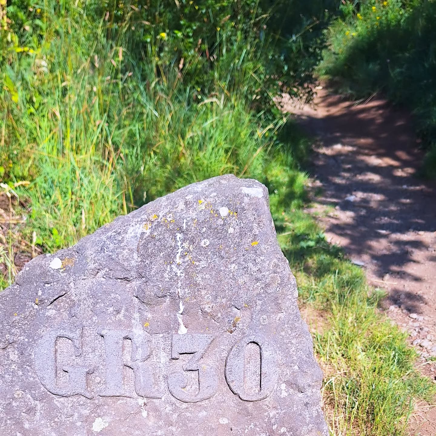 "Délaisse les grandes routes, prends les sentiers"
✏️Pythagore✏️
#mooddujour #randonnée #gr30
#auvergnerhonealpes #sancy
#nature #citation #lacherprise
