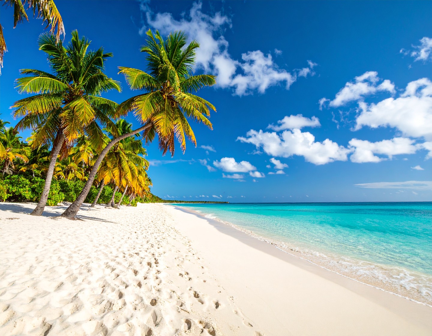 Celebrate Social Media Giving Day with Tobago Bay! 🎉 At Tobago Bay, we believe in giving back to the community. Share your favorite local music bands and memories and tag us! Let's make a difference together! 💖✨ #SocialMediaGivingDay #TobagoBay #CommunityLove #MusicMemories