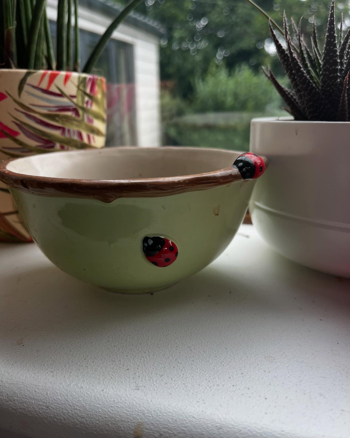 ✨ Whispers in the Quiet ✨
Ladybirds 🐞 Zebras 🦓 A Bee 🐝 And a Robin 🐦
This week I visited Lyme Regis — a place that will soon become home. Almost instantly, the signs arrived.
🐞Ladybirds in the kitchen and tucked inside a Ladybird Mindfulness book — a nudge from something greater. 🦓Then Zebra appeared again, reminding me of its quiet guidance from before. 🐝And later, a bee landed on my wrist — soft, deliberate. I felt fear, and then her message:
“I will not sting you, dear one. Your fear is holding you back.”
She simply cleaned herself —
showing me that just being… is enough. . As I reached for my phone, she flew away. A gentle reminder some moments aren’t meant to be captured — only lived.
🐦A robin arrived too, landing beside me with knowing eyes and a gentle nod. Each of them felt like a whisper from the unseen, saying:
💫You’re on your way. 💫You are held. 💫Keep listening.
We often look outside for answers, but I’ve come to realise that these signs show up when we begin to truly listen within.❤️
I’m sharing a few images from this journey — symbols that found me when I needed them most. You don’t have to make sense of them. Just let them speak to your heart if they want to.
Maybe they’re for you too.
With love,
Anna 🐞🦓🫖🐝🐦