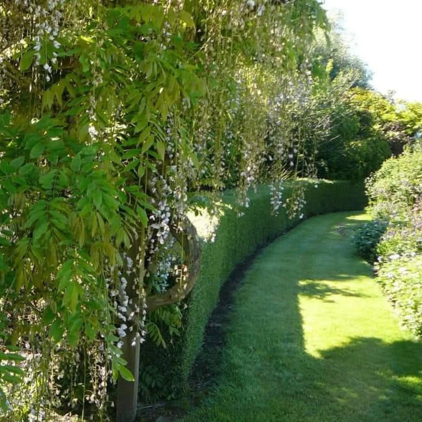 The months are flying by, Tickets are on sale now as we count down to the Rotorua Festival of Gardens 2025
November 14th, 15th & 16th
Get your tickets via our website and spend 3 days exploring fabulous gardens throughout the Rotorua region, some of which will have live entertainment, product demonstrations as well as - art, crafts, plant and food stalls within them to purchase from.
Tickets on sale now via our website
Link in bio
#rotorua #rotoruagardenfestival #gardensnz #nzgardener #nzgardens #nzgardenfestival #rotoruaevents #rotoruathingstodo #rotoruafestivalofgardens
*some photos used may be from previous festivals *