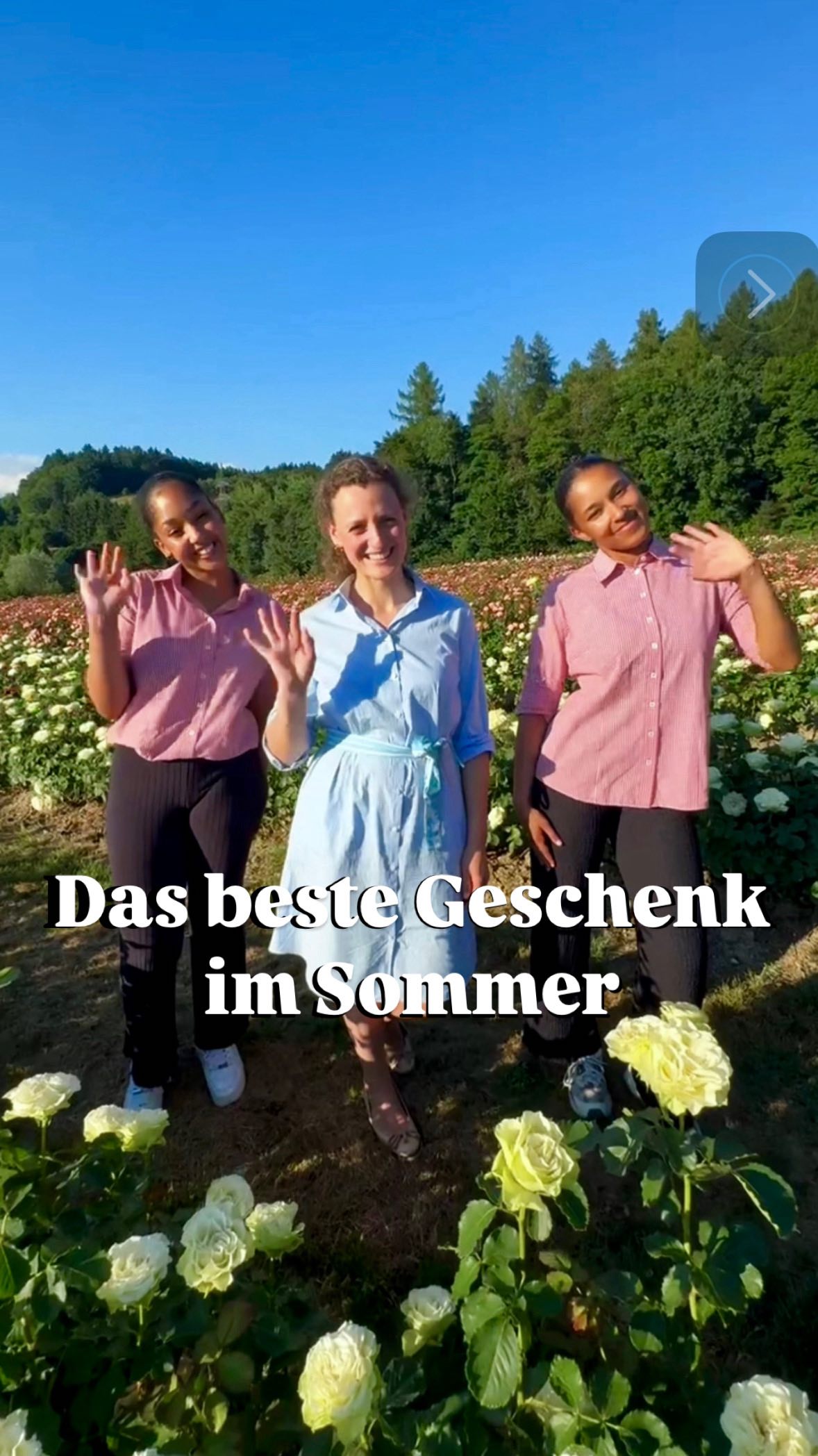 Das schönste Geschenk im Sommer?🌹
Frische Rosen – direkt von unserem Feld!
🌸 Wir ins mitten in der Rosensaison und schneiden täglich traumhafte Blüten für euch.
Ob für Geburtstage, Grillpartys oder einfach so:
🎁 Ein Eimer Rosen sorgt immer für strahlende Gesichter!
✨ Neu: Unsere Rosenblätterbox – ideal für Hochzeiten, Taufen & besondere Anlässe.
📍 Kommt vorbei in der Markthalle Wassmer
– wir freuen uns auf euch! 💐
Euer Markthalle Wassmer Team
#rosensaison #markthallewassmer #sommergeschenk #rosenliebe