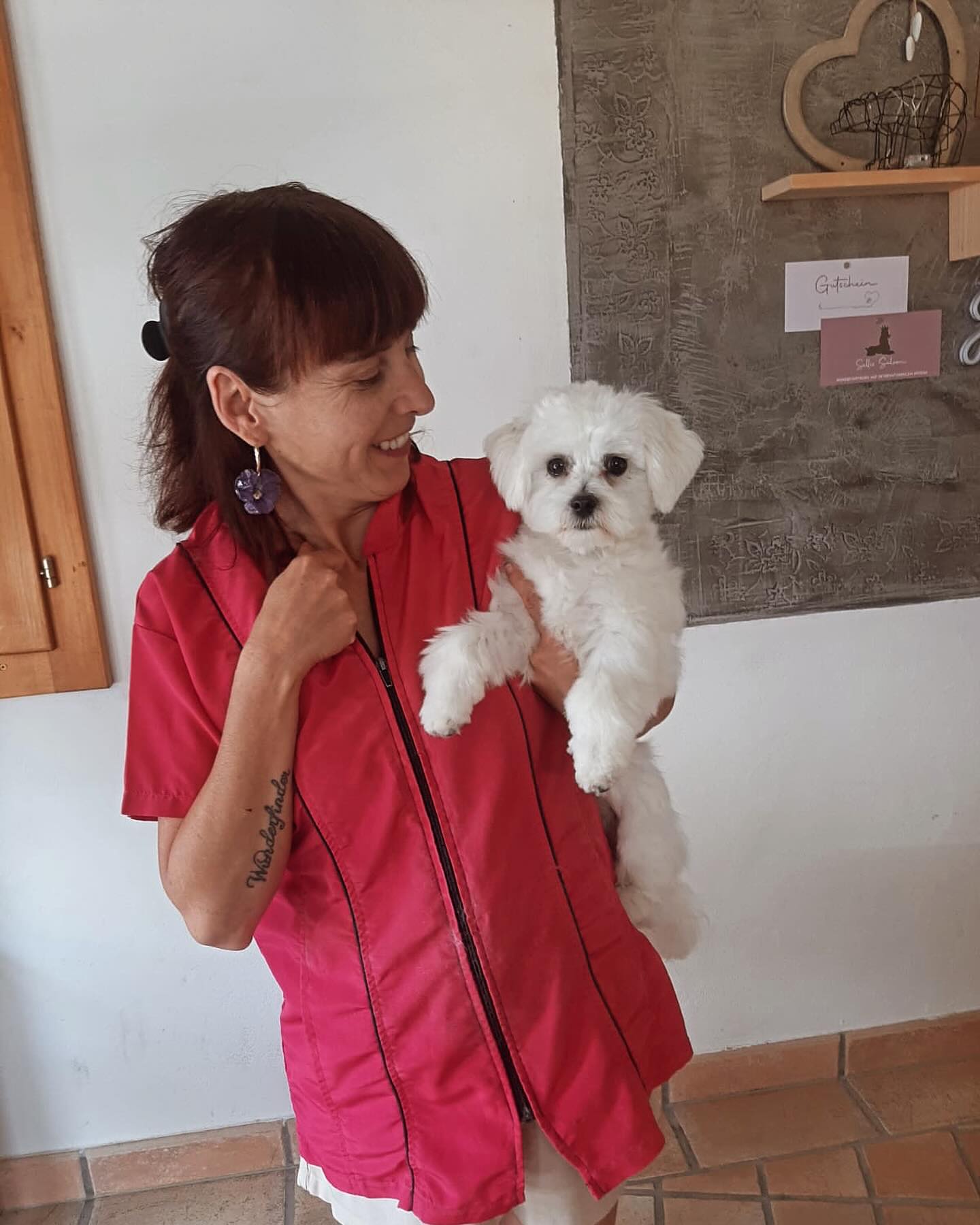 #malteserlove Pauli 💙