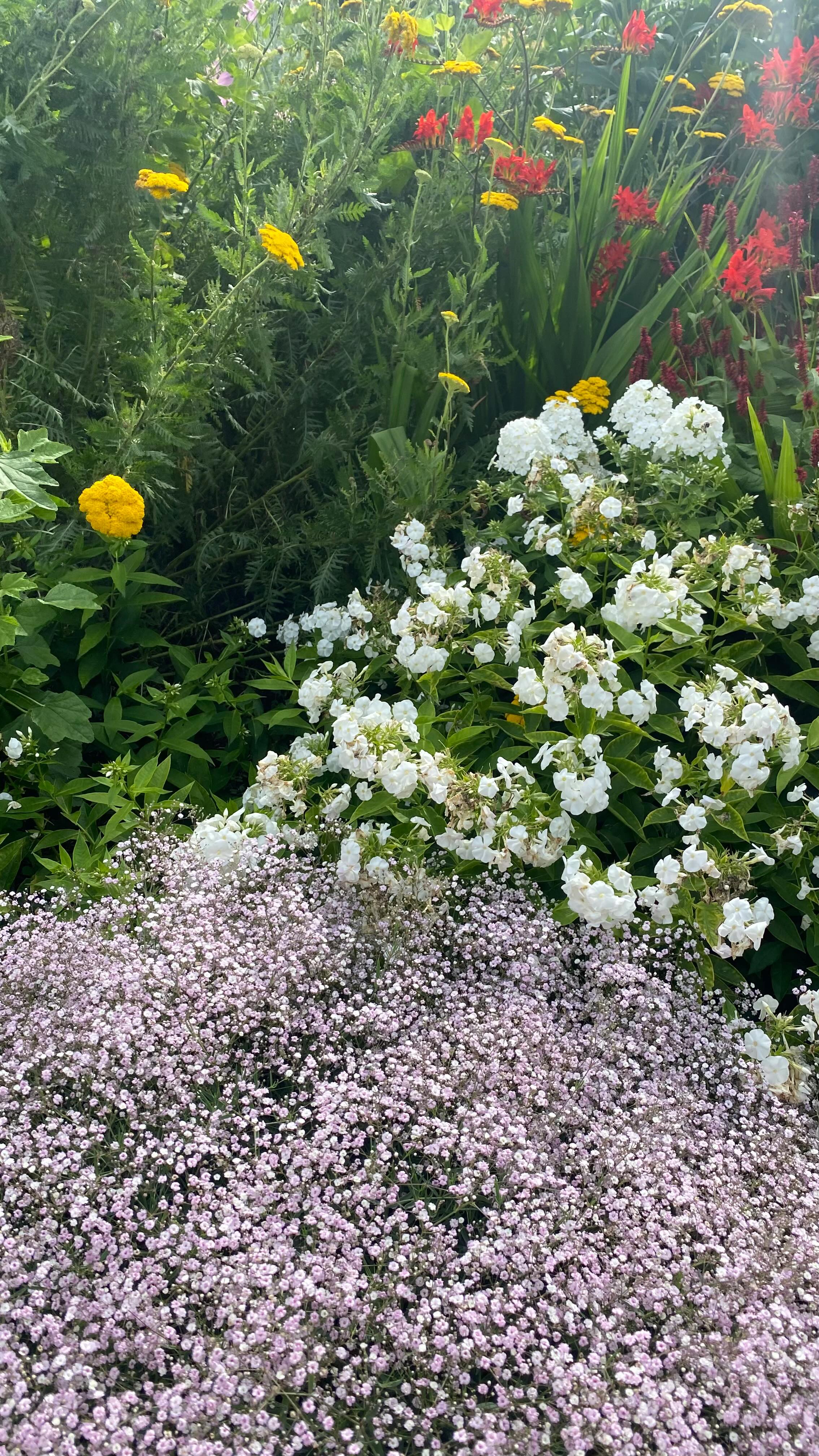 ~ Wild Heart Workshop with nervous system informed yoga practice and medicine song ~
The full recording of the session is available through the link in my bio/story. This session is a little taster of what to expect in our upcoming Wild Heart Women’s Retreat 15-17 August in the Yoga Barn.
Enjoy the practice and If you have any questions about it or about the retreat, feel free to DM me.
Lots of love,
Anna