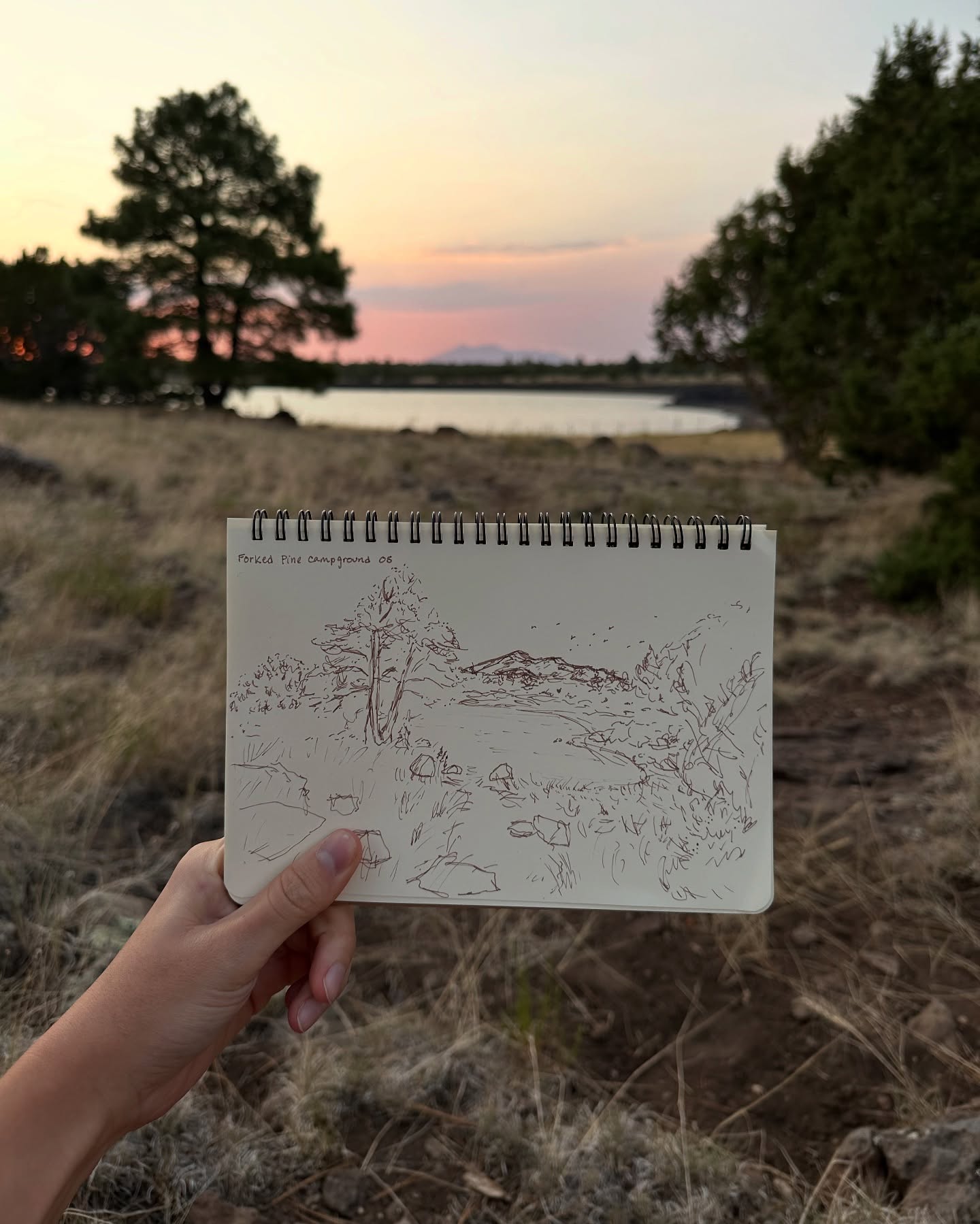 when i am spending the majority of time indoors during the Phoenix summer season, getting outside when i can is really important to me - and it can be challenging at times with the heat 🌞
time outdoors and with nature really helps center me
i feel present
i feel alive
i’m telling you … sensory walks! they’re great!!!
a couple weekend camping trips away from the heat during the summer seasons help a lot, too
also, paying attention to the weather and making sure to get outside in the morning or evening on cooler or cloudy days is really helpful
~ i just need to actually look at the weather app so these cooler days don’t sneak up on me! ~
this is from @juliaastoll and my camping trip before hiking Humphrey’s Peak the next day!⛰️
DRINK SOME WATER!
cheers ✨❤️🌞
#drawinginnature #artinnature #artistsoninstagram #travelart #campingadventures