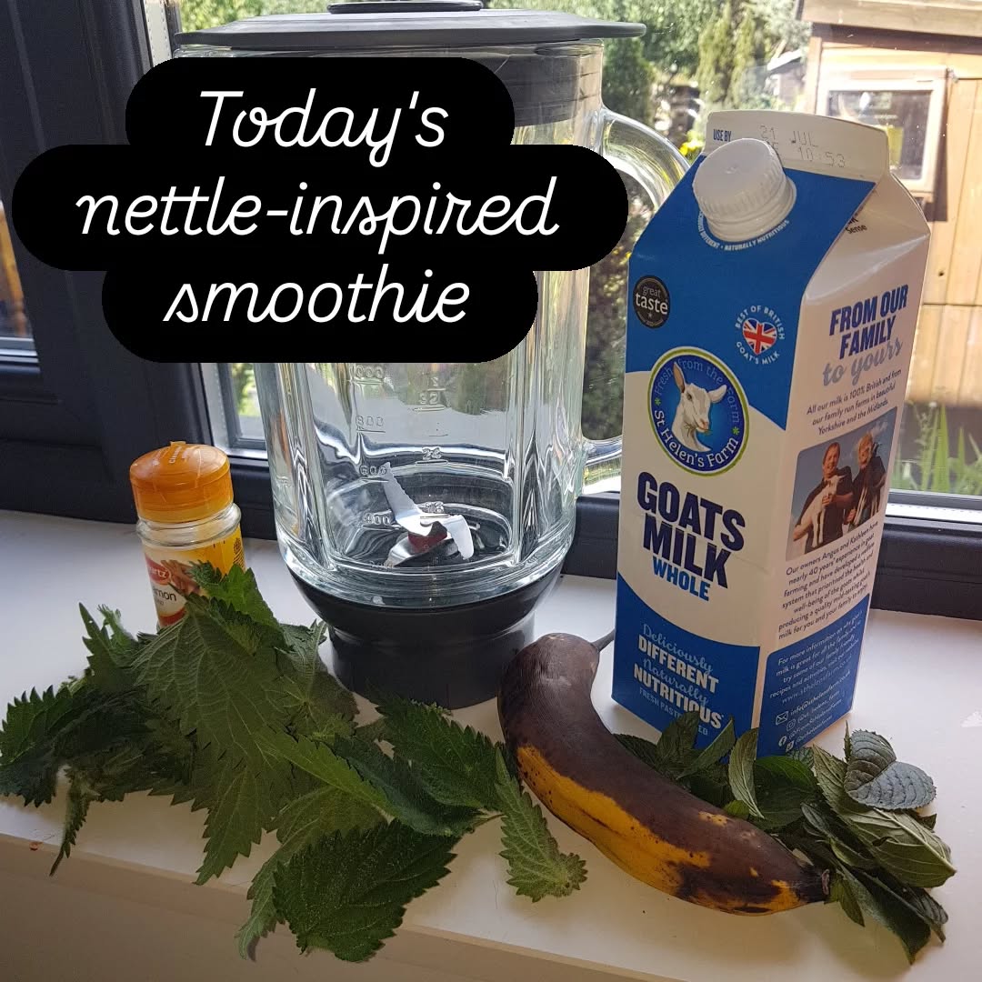 Nettle, chocolate-mint, an over-ripe banana that needed using, a dash of nutmeg and whatever milk there is most of in my fridge (oat, goat, cow, coconut .. ideally anything whole and not pasteurised) and bish bash bosh .. super healthy super food smoothie ...
Save some to pour into ice cube trays and freeze and use it as a sort of sorbet thing too!
#smoothies
#nettles
#edibleweeds #yummyyummy