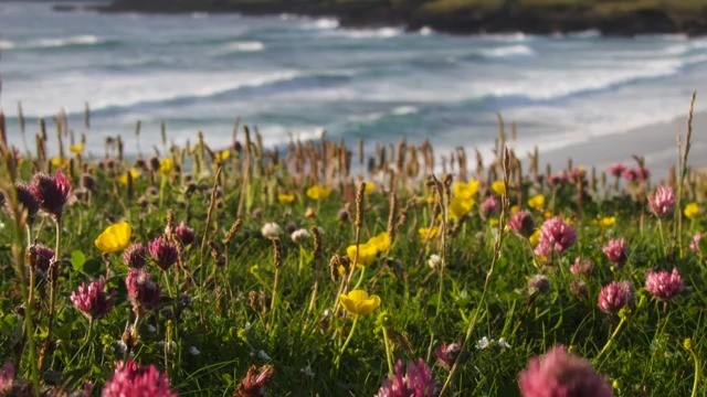 Philly Hare - an inspiring and inspired 'emerging artist'.
See Philly at Urras Oighreachd Ghabhsainn - Galson Estate Trust
Open 24 to 26 July and 28 July to 2 August - open throughout the second week!
https://www.openstudioshebrides.com/full-members/philly-hare-artist
#OpenStudiosHebrides #OpenStudios #LocalArtistShowcase #OuterHebrides #IsleOfLewis #IsleOfHarris #Crafts #ArtsAndCrafts #Artists #ScottishArtistsAndMakers #Stornoway #Hebrides