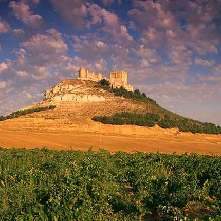 Castile and León🏰 is a land of medieval charm, ancient cathedrals, and breathtaking landscapes!
Explore the stunning Salamanca University 🎓, the fairytale-like Burgos Cathedral ⛪, or the impressive Roman aqueduct of Segovia 🏛️.
Hike through the dramatic Picos de Europa ⛰️ or wander the endless vineyards of Ribera del Duero 🍷.
Every town is steeped in history, from medieval castles to charming plazas. Castile and León is a journey through Spain’s majestic past! ✨❤️
Discover many interesting hotels (with special perks for Travel Pass holders), hidden gems, and the best restaurants in Castile and León soon at hotel.eu and directbookings.eu.