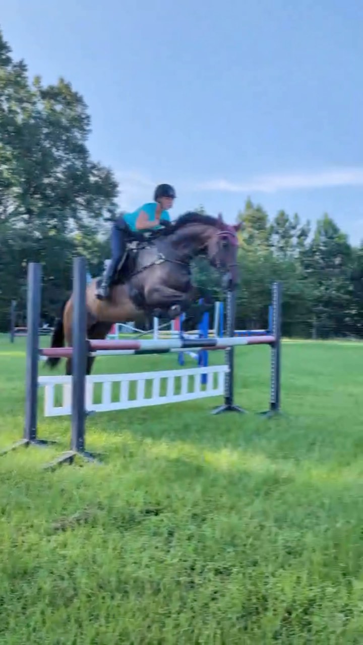 Early morning jump school, have to beat this heat! We are all still feeling camp hangover, but it was worth every minute of all the fun! Camp 2026 details soon!!! #millereventing #millereventcamp2025⛺️🐎 #fernhillfreestyle🍀 #summerfun 🎥 @raian_brooke