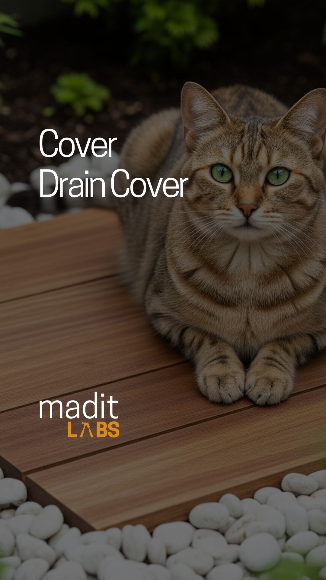 Not everything needs to be fancy — sometimes, it just needs to blend in.
This little wooden panel was my fix for two unsightly drain covers right outside the house. It’s just laminate flooring, reinforced, waterproofed, and grounded with a bit of clever thinking (and some L-brackets).
The cat? She’s just here for aesthetics.
Let’s see how long it holds up. Got a smarter way to do this? Tell me — we are listening.👇
#madituk #DIYfix #WoodworkingHack #SmallSpaceDesign #BeforeAndAfter #BackyardIdeas #FunctionalDesign