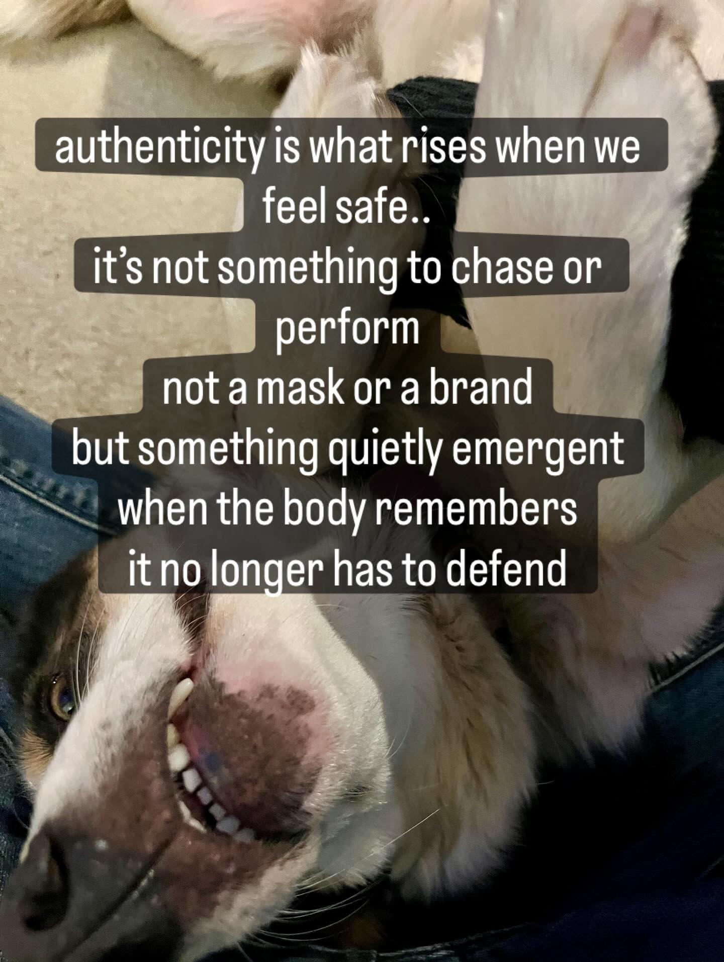 i don’t love a lot of the rhetoric around authenticity
like it’s just a choice or a vibe
something we can summon with a mantra or a mirror
the truth is
you can’t be authentic
when your body is in survival
when you’ve been trained to be silent
when you’ve inherited fear in your cells
when systems punish your truth
when safety has always meant shape-shifting
authenticity isn’t something you decide
it’s something that slowly returns
when the nervous system softens
when belonging doesn’t depend on performance
when the conditions are right
so let’s stop shaming people for not being ‘real’ enough
and start asking
what safety do they need
to remember who they are
Super-vision spots available starting next month. @megjberryman