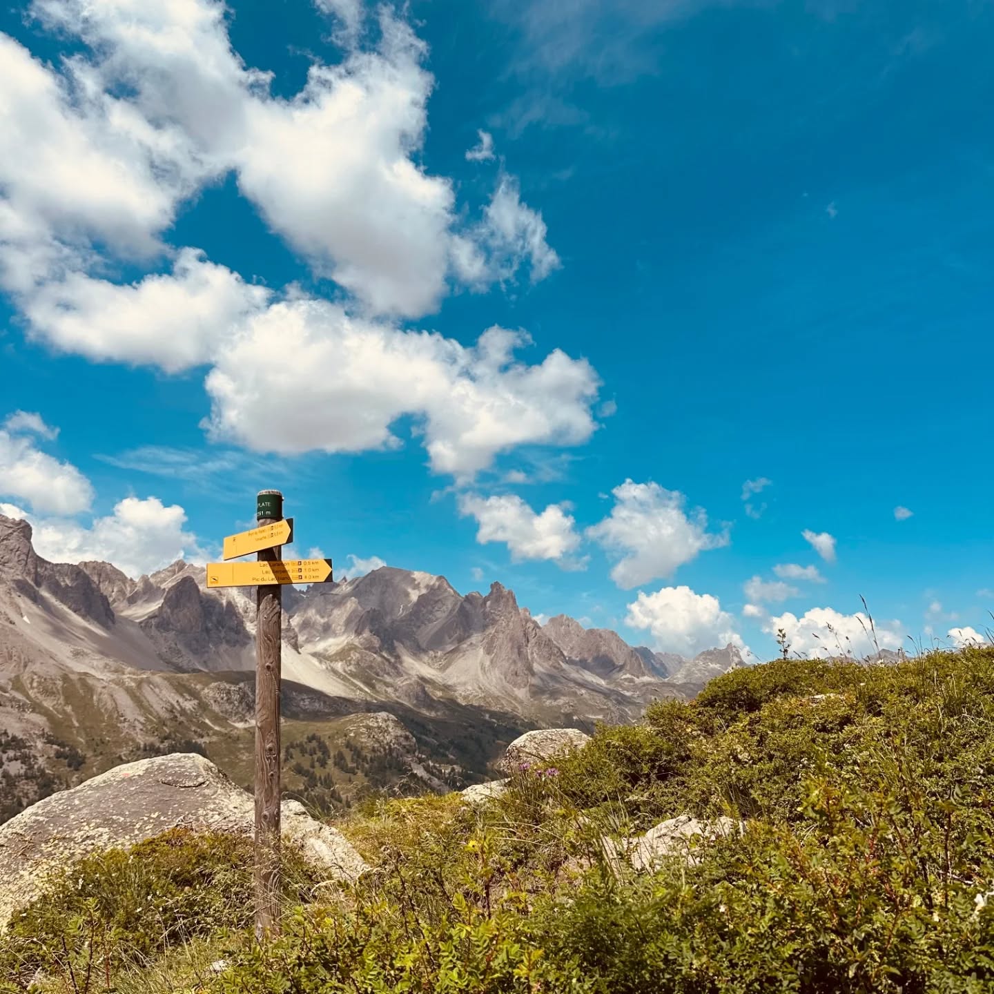 🏞️ Het passageseizoen is weer volop bezig
Wat is het toch elke keer bijzonder om mensen te mogen ontvangen met een open nieuwsgierigheid en een verlangen naar verbinding en verdieping.
Doorheen de week ontstaat er steeds een groep waarin ieder op zijn of haar eigen manier mag verschijnen. Waar ruimte is om jezelf te ontdekken, te helen, te groeien. En juist doordat iedereen zijn of haar eigenheid durft te tonen, ontstaan de meest krachtige en authentieke verbindingen. Verbindingen die je verder helpen in je eigen groeiproces. 🦋
🌷Voel jij de roep om mee te gaan op zo’n unieke, transformerende reis?
In het najaar zijn er nog enkele plekjes op de tocht van 18 t/m 25 oktober 2025. Om eens gratis kennis te maken, kan je en kennismakingsgesprek inboeken via www.passagetochten.fr, via mail karlienvanderheyden@gmail.com of via de chat.
Laten we samen de weg naar binnen bewandelen. 🌸🌼
Liefs,
Karlien
📸 🙏 Wendy!
#passagetocht #persoonlijkegroei #transformatie #authentiekverbinden #innerlijkereis #groepsproces #outdoortherapie #ervaringsleren