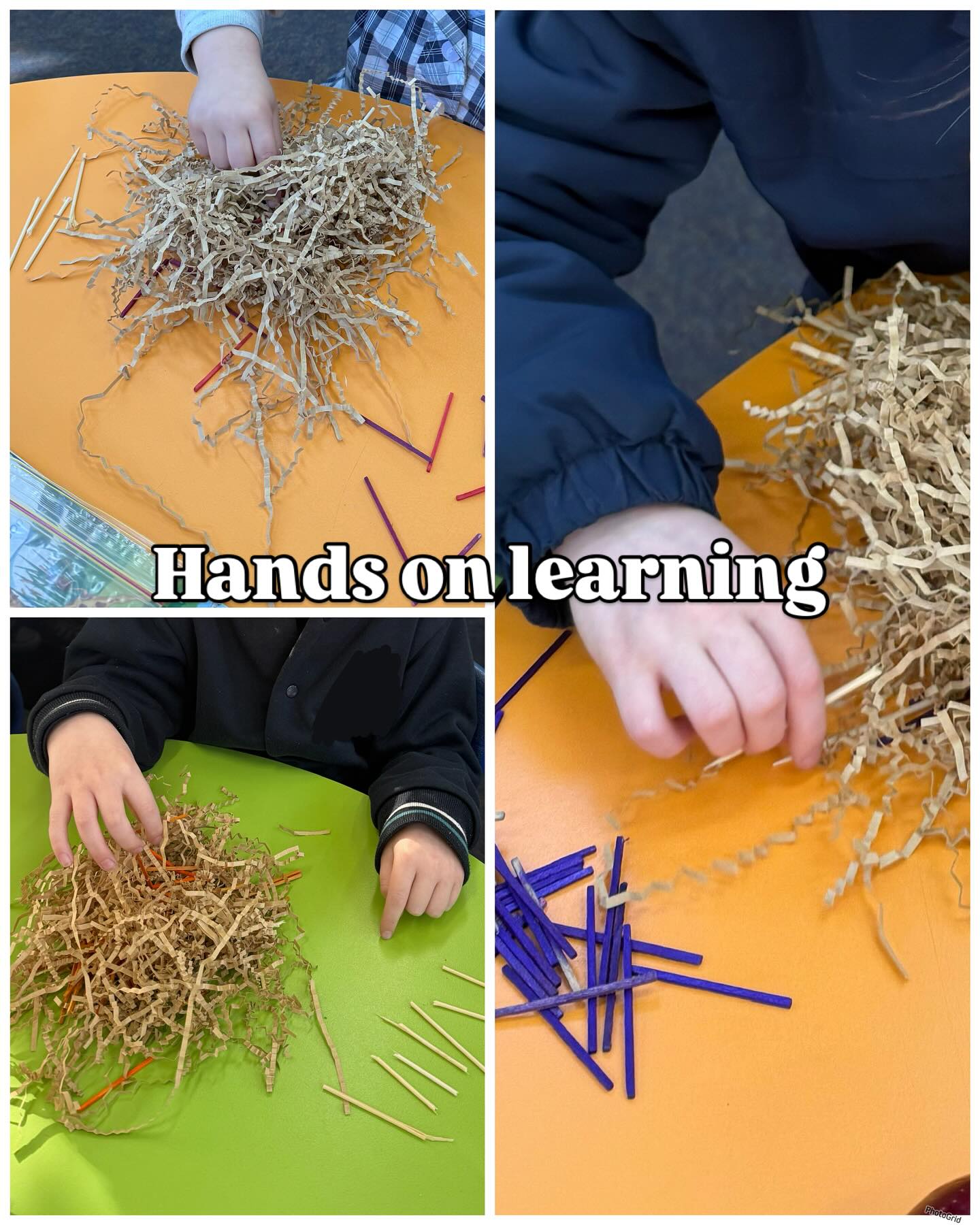 🦋✨ Our Term 3 Inquiry unit on Living Things is off to an exciting start!
We kicked things off by exploring camouflage—and on our nature walk, we were lucky enough to spot a butterfly blending right into its surroundings!
Back in the classroom, students became birds, picking through a “mess” to find hidden “worms”—careful not to mistake the coloured sticks for food! 🐛🌿
They also searched for images of camouflaged animals and created collages to show just how clever nature can be.
It was amazing to see them understand that animals camouflage themselves not just to hide, but for survival, hunting, and protection.
So proud of their curiosity and creativity! 🌍💚
#LivingThings #InquiryLearning #Camouflage #HandsOnLearning #STEMinEarlyYears #PrimaryScience #AustralianCurriculum #YoungExplorers #NatureInTheClassroom #TeacherLife